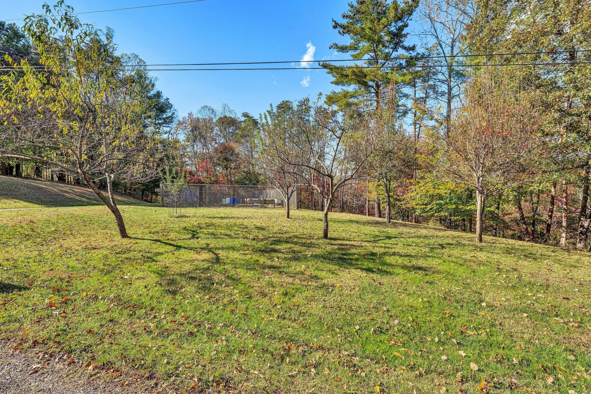 1527 Quail DR - Photo 49