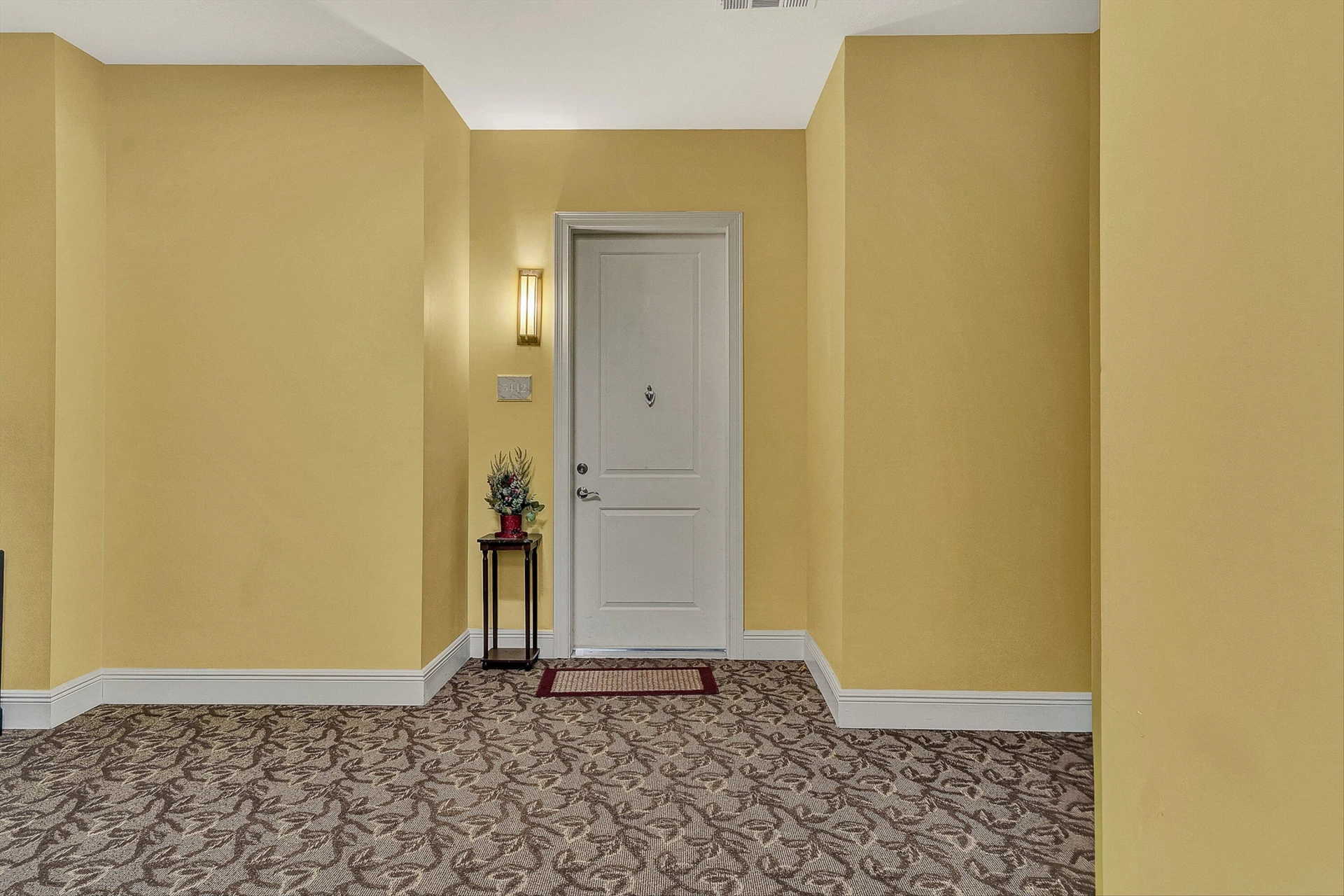 5442 The Peaks DR ## 209 - Photo 11