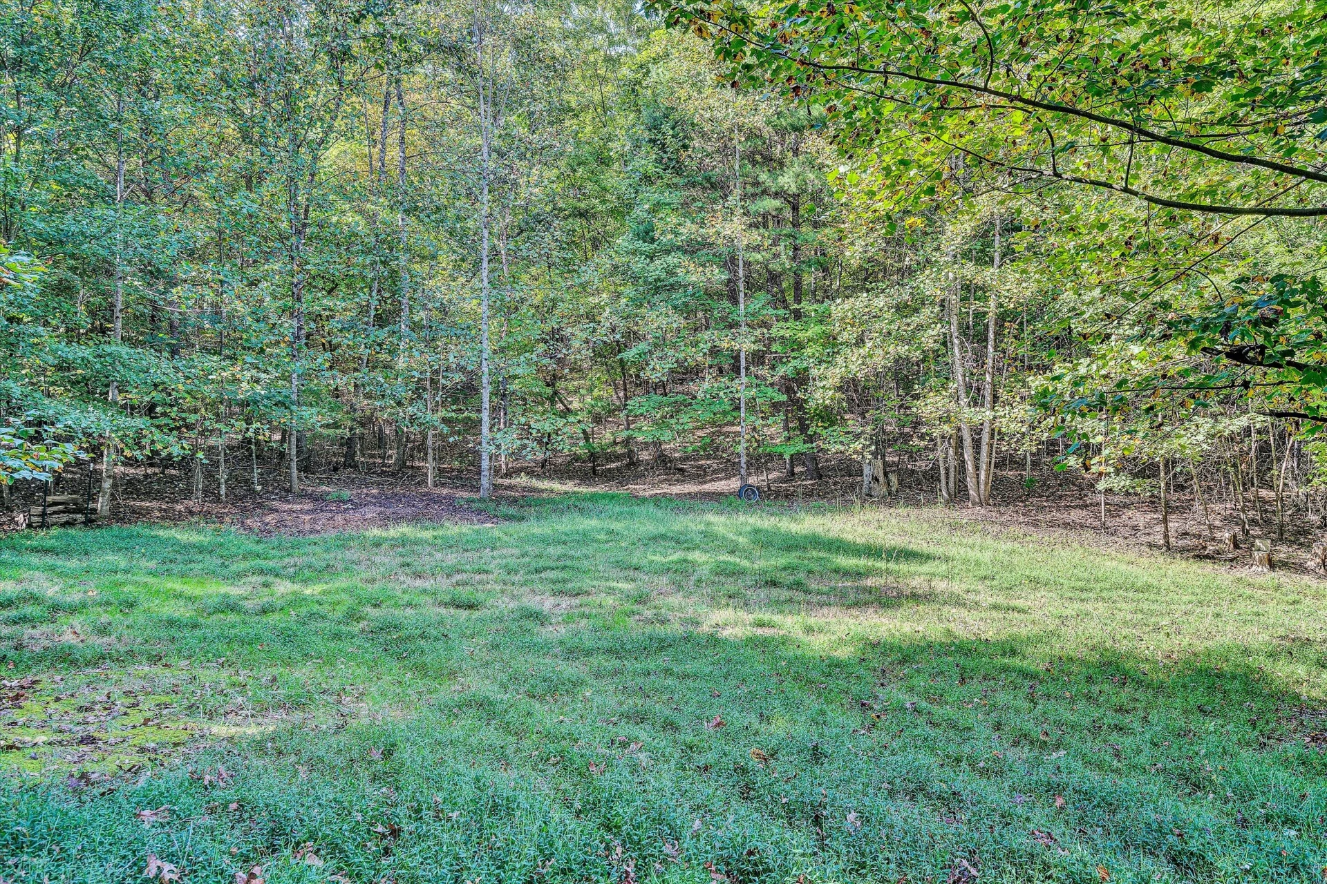 230 Wedgewood DR - Photo 42