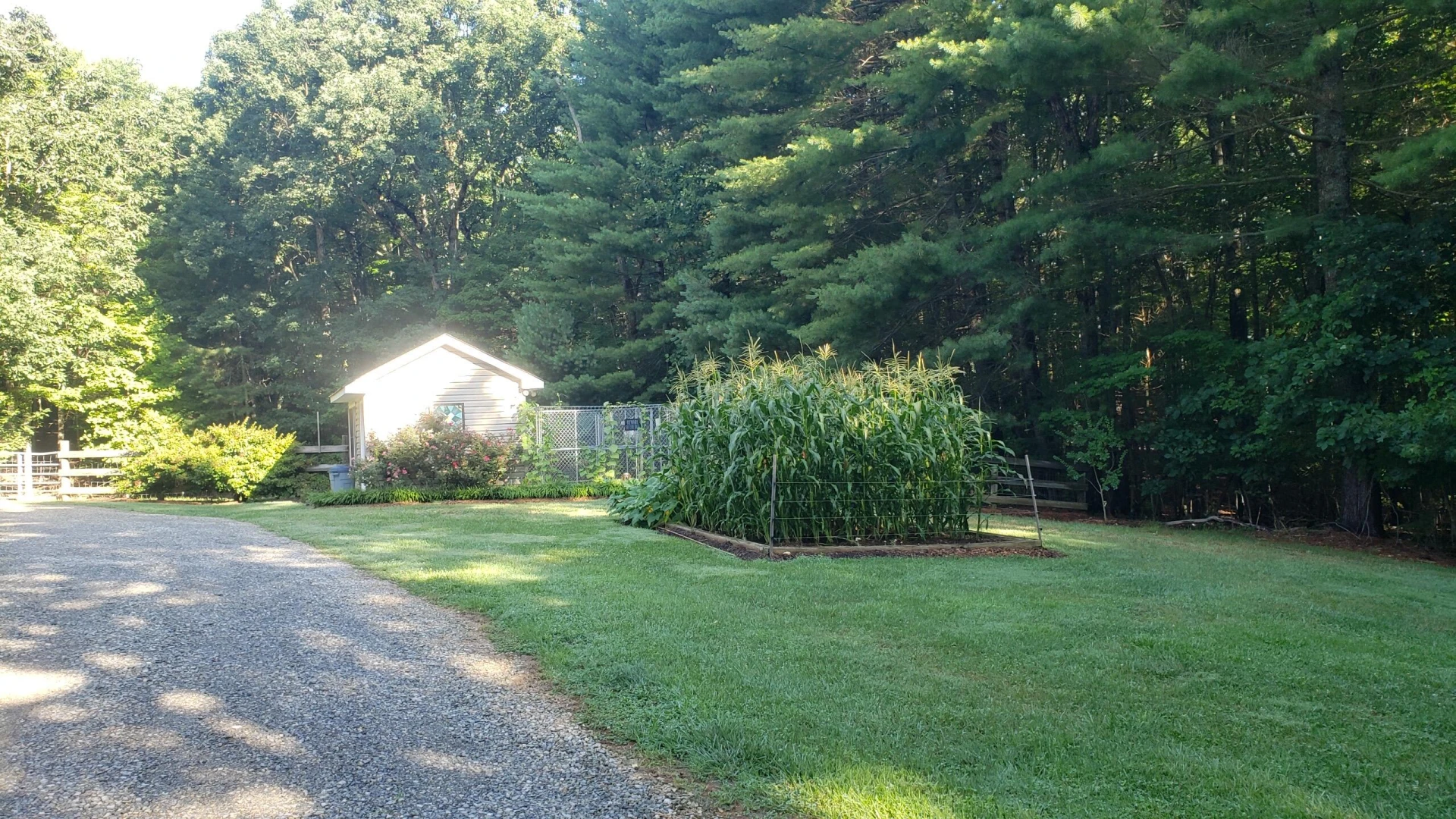 230 Wedgewood DR - Photo 45