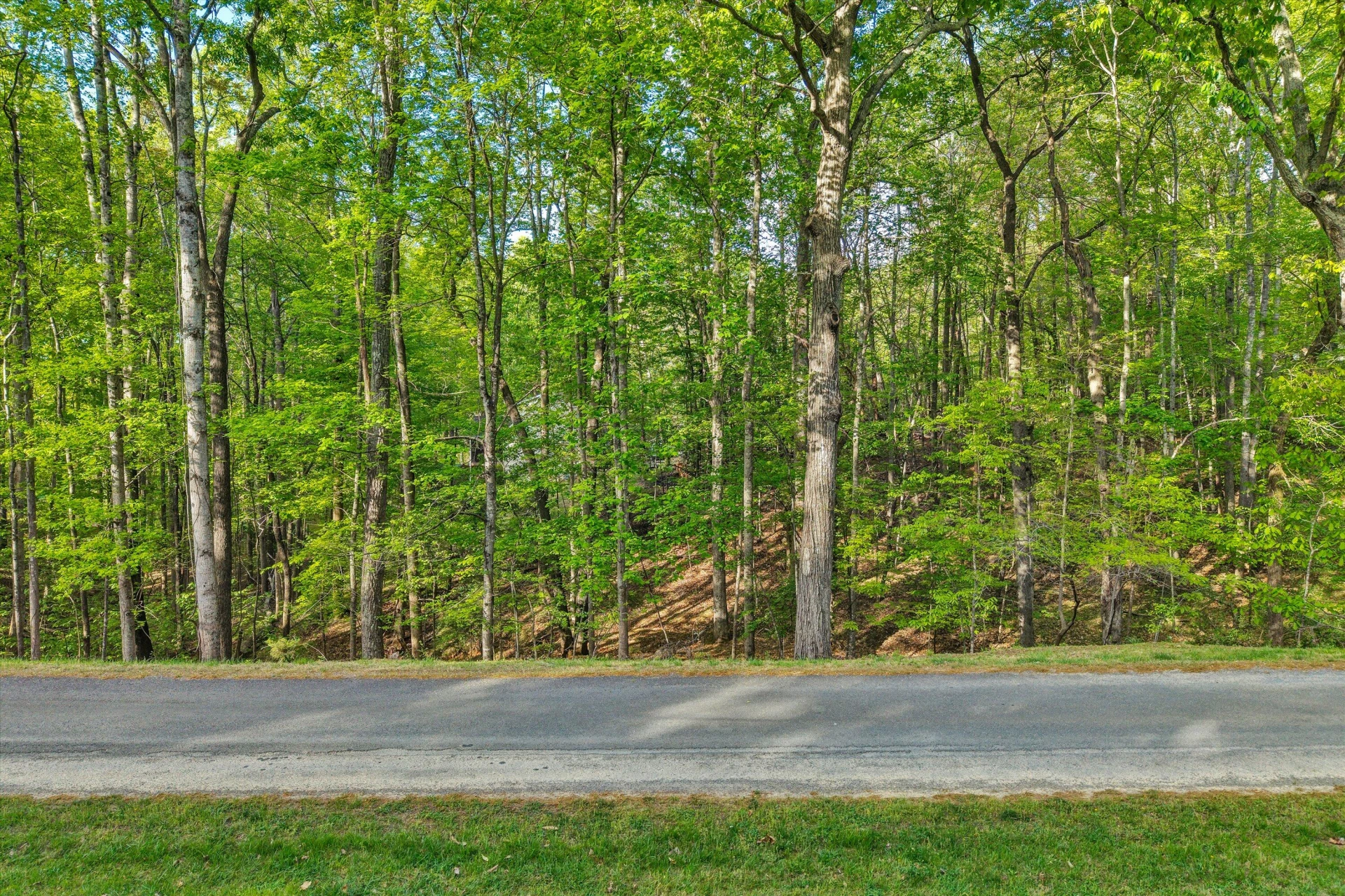 Lot 24 Stripers CT - Photo 4