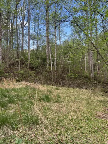 332 Terrace RD, Boones Mill, VA, 24065