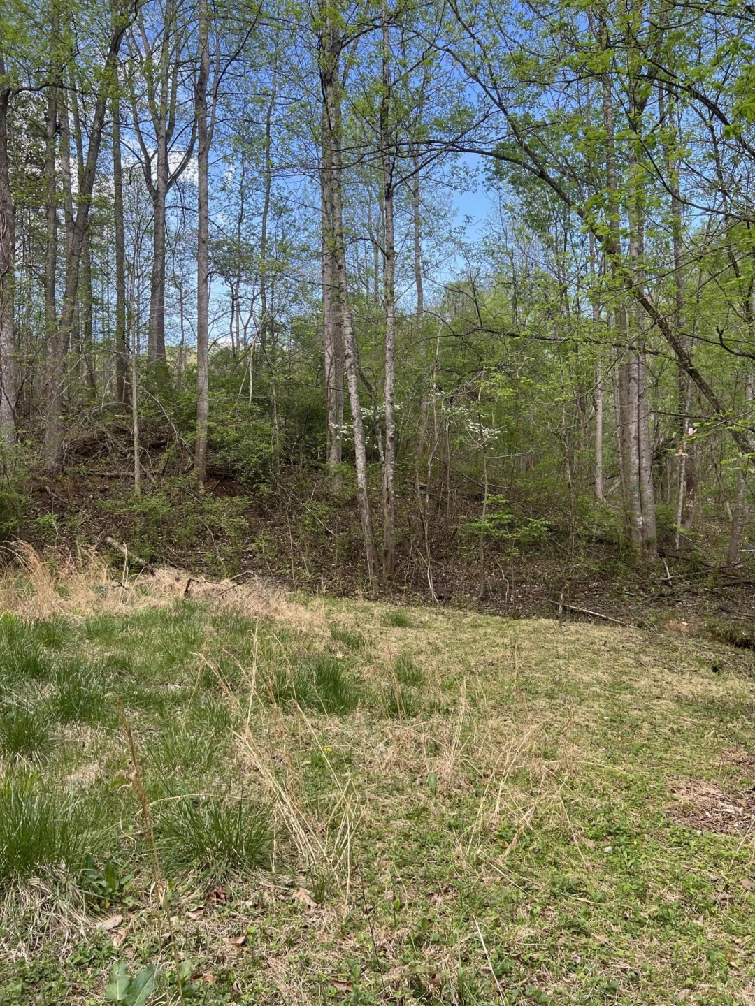 332 Terrace RD