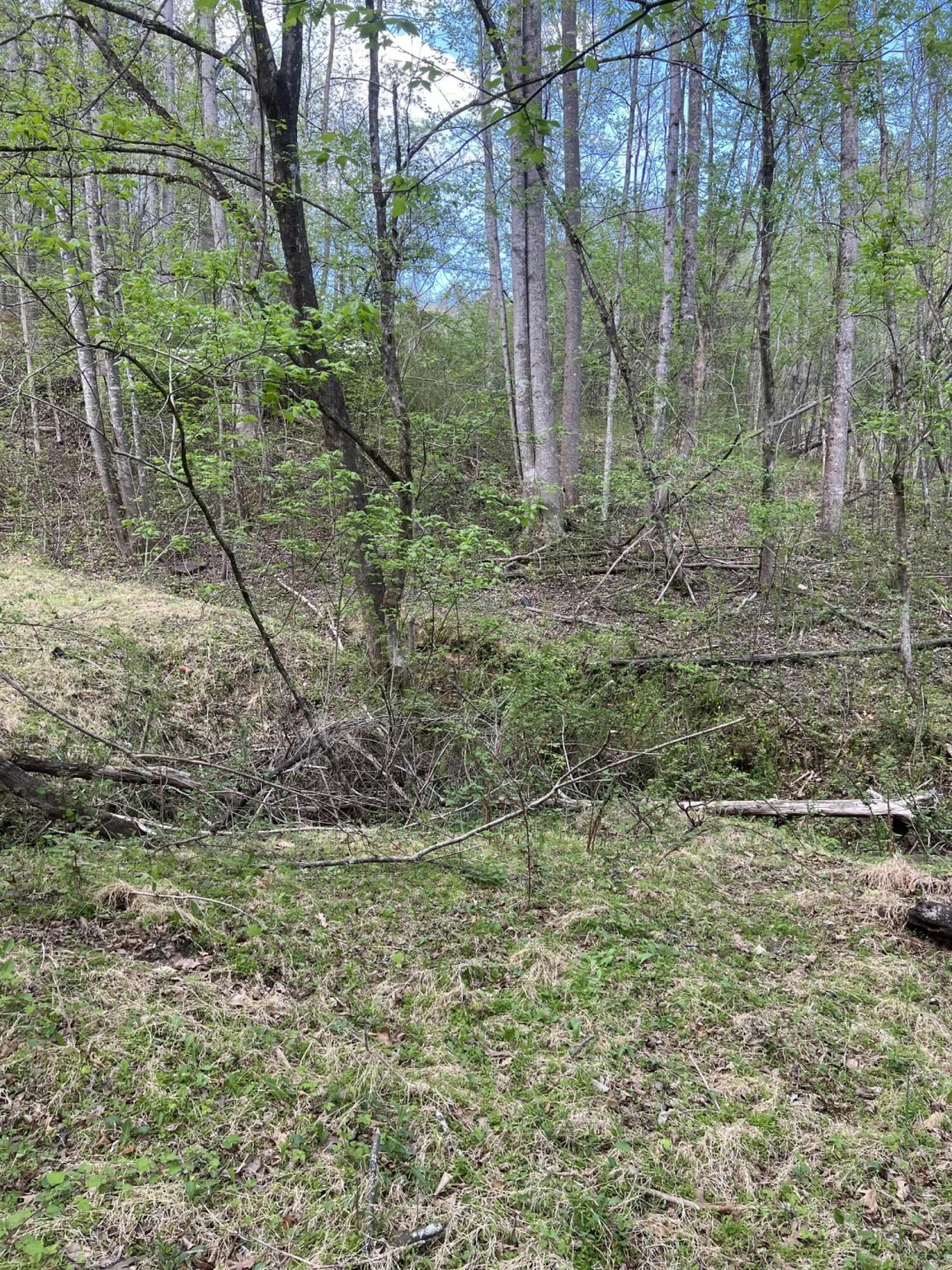 332 Terrace RD - Photo 3