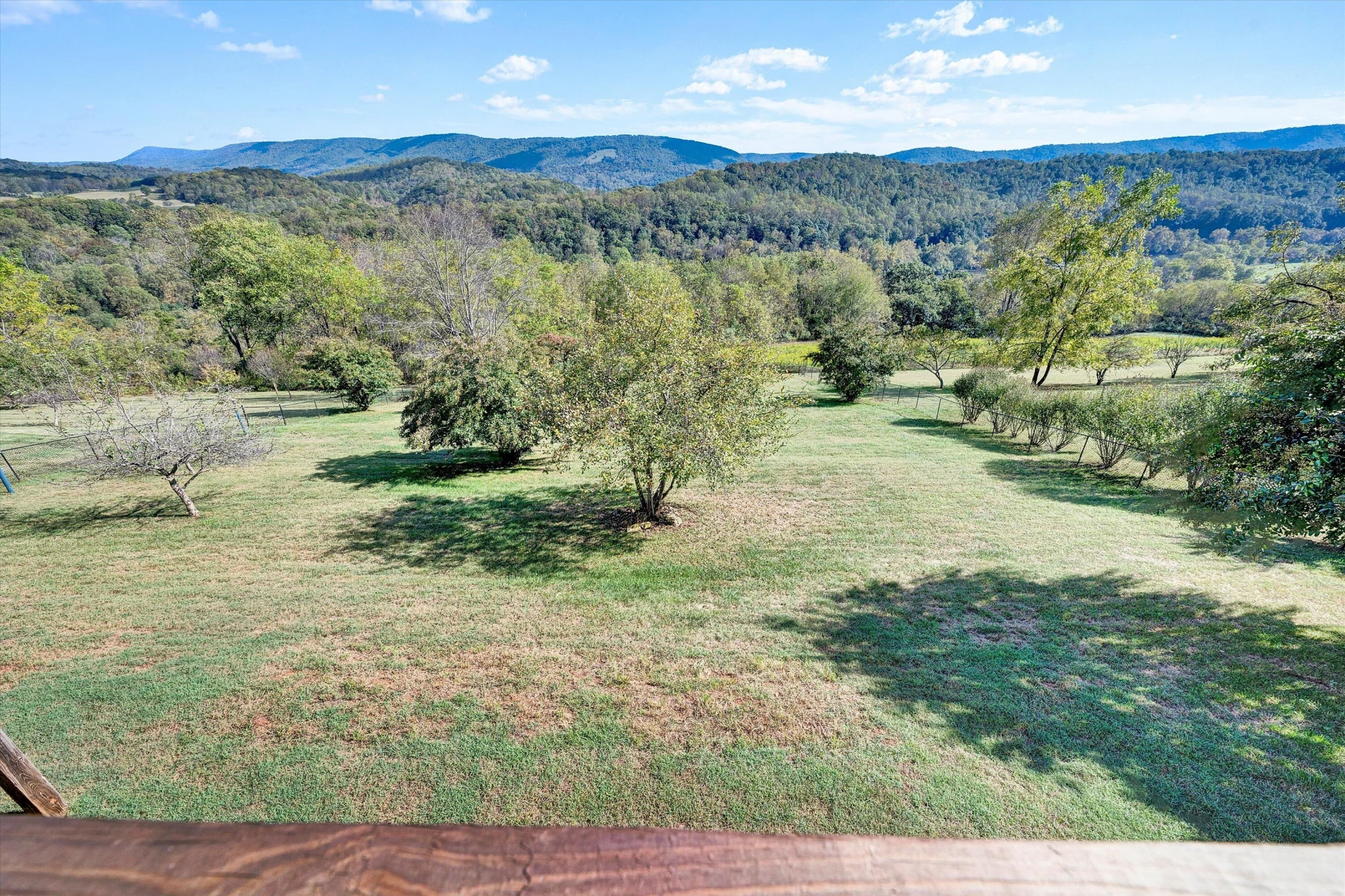 312 Horseshoe Farm RD - Photo 63