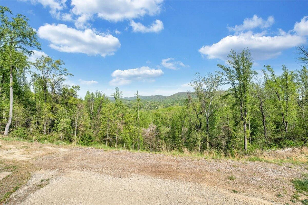 175 Hayden Mountain RD - Photo 62