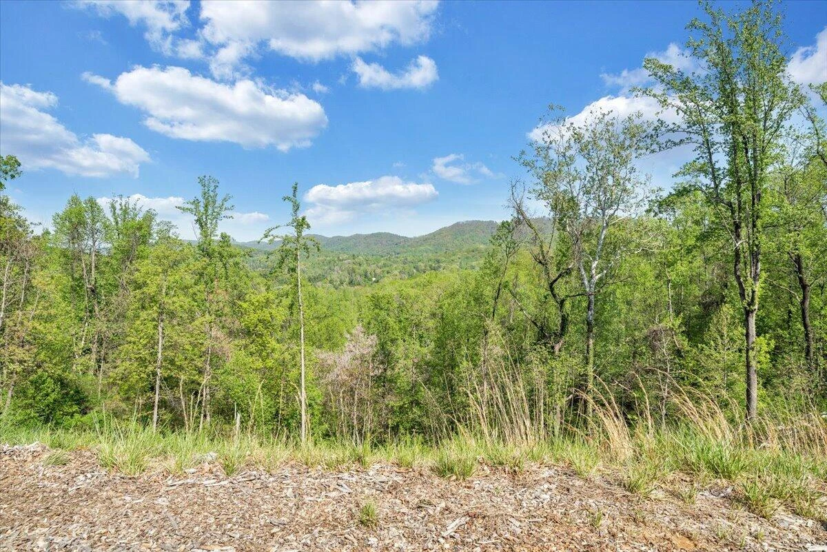175 Hayden Mountain RD - Photo 66