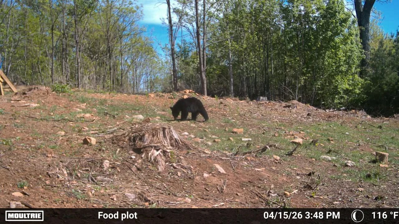 175 Hayden Mountain RD - Photo 88