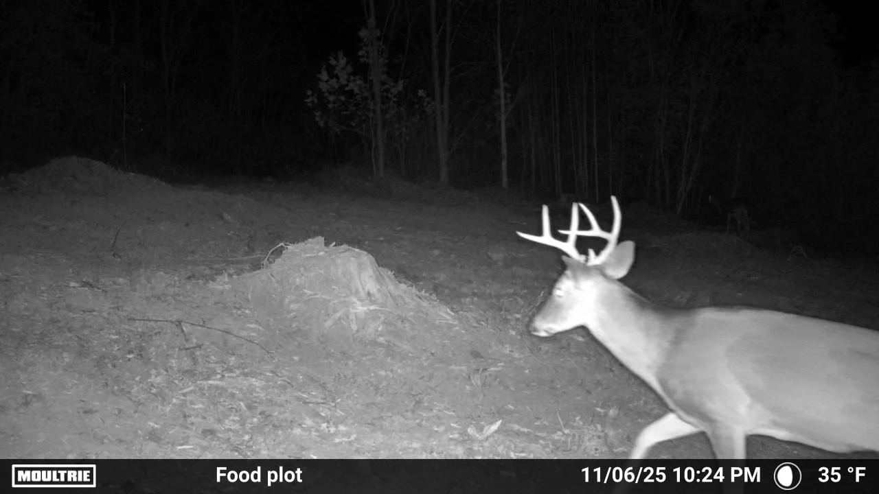 175 Hayden Mountain RD - Photo 89