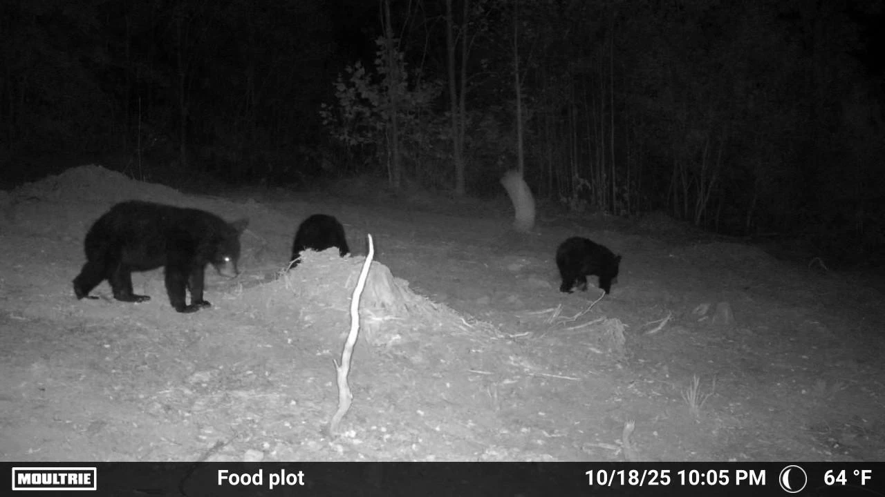 175 Hayden Mountain RD - Photo 90