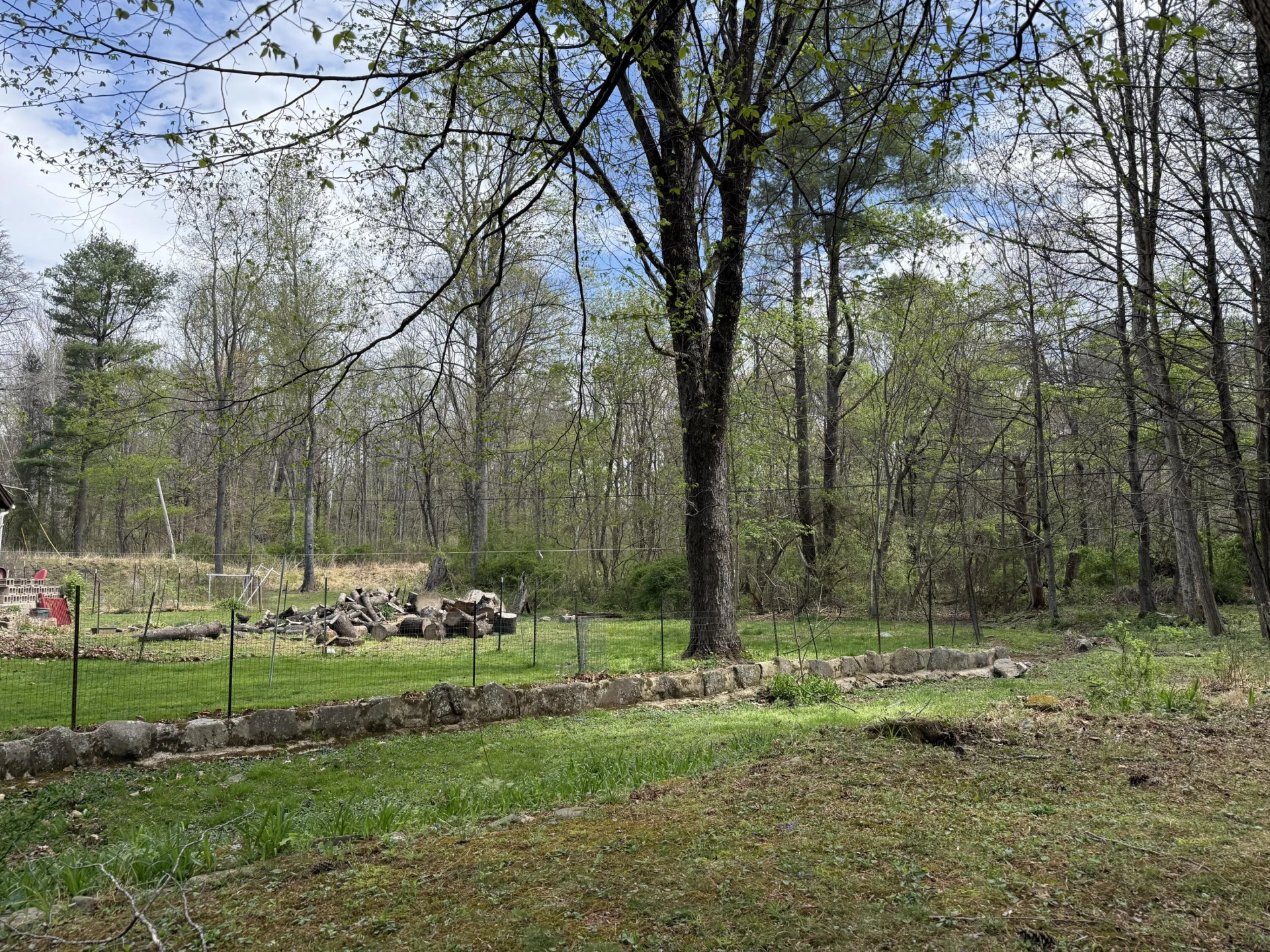 62 Leverock LN - Photo 23