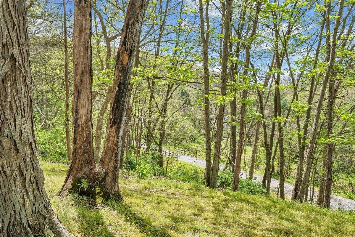 310 Sammys RD - Photo 36