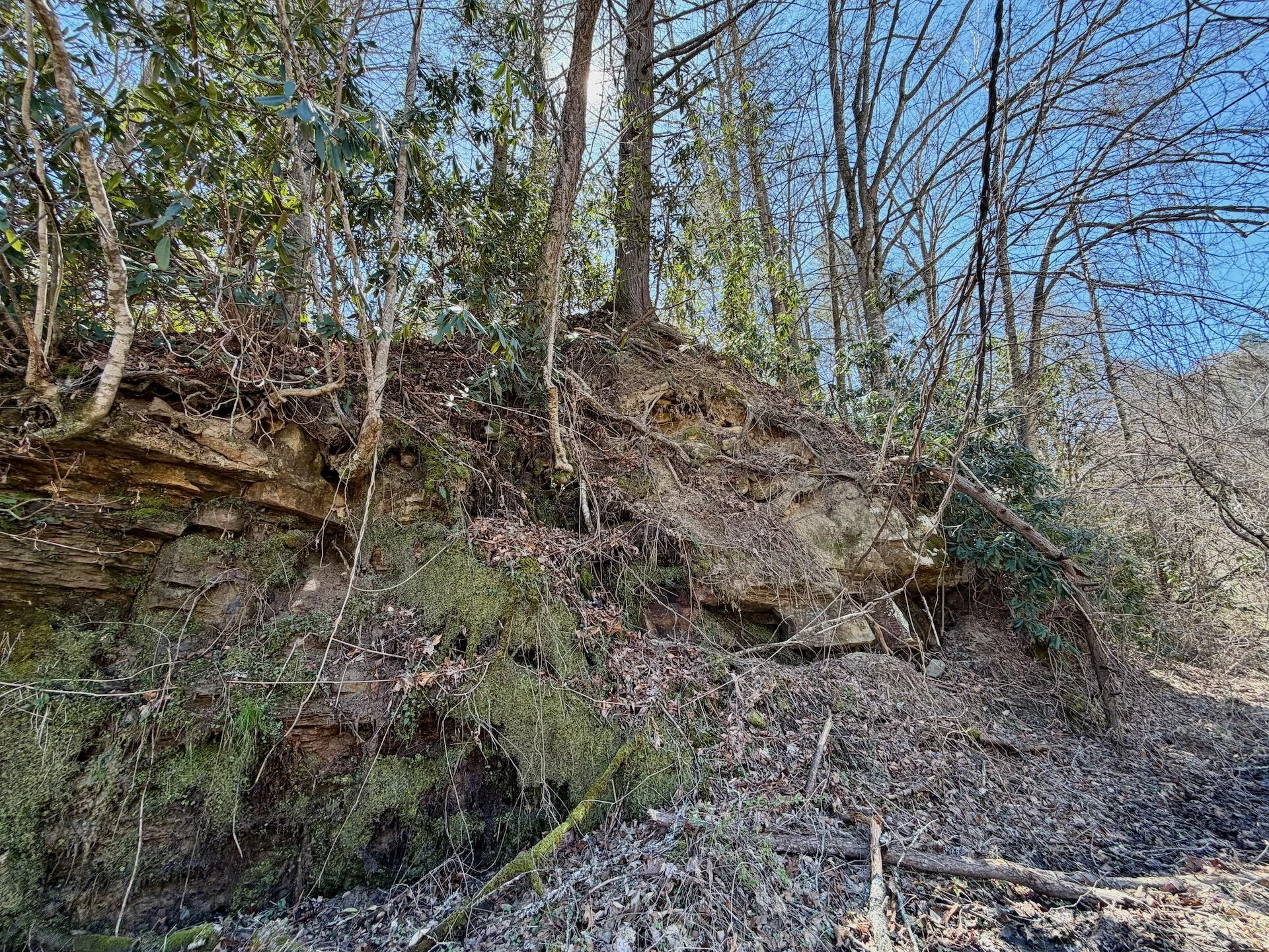 0 Greens Chapel LN - Photo 67