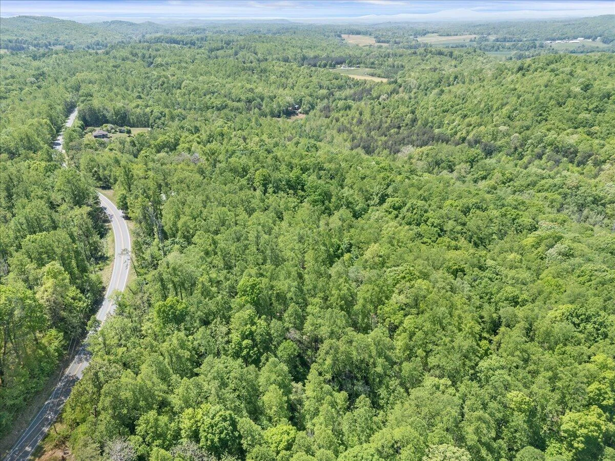 0 Hwy 890/Snow Creek Rd - Photo 4