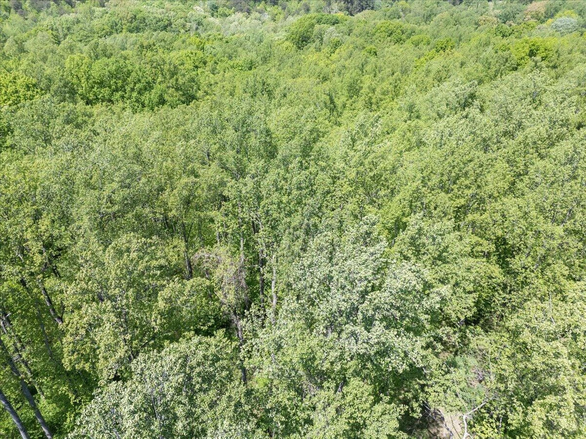 0 Hwy 890/Snow Creek Rd - Photo 5