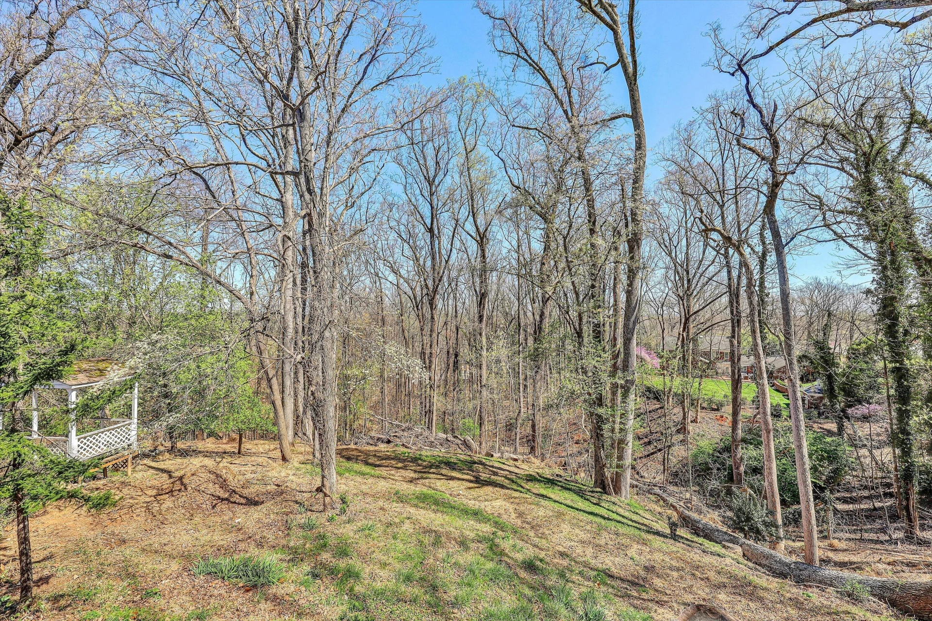 925 Mulberry RD - Photo 38