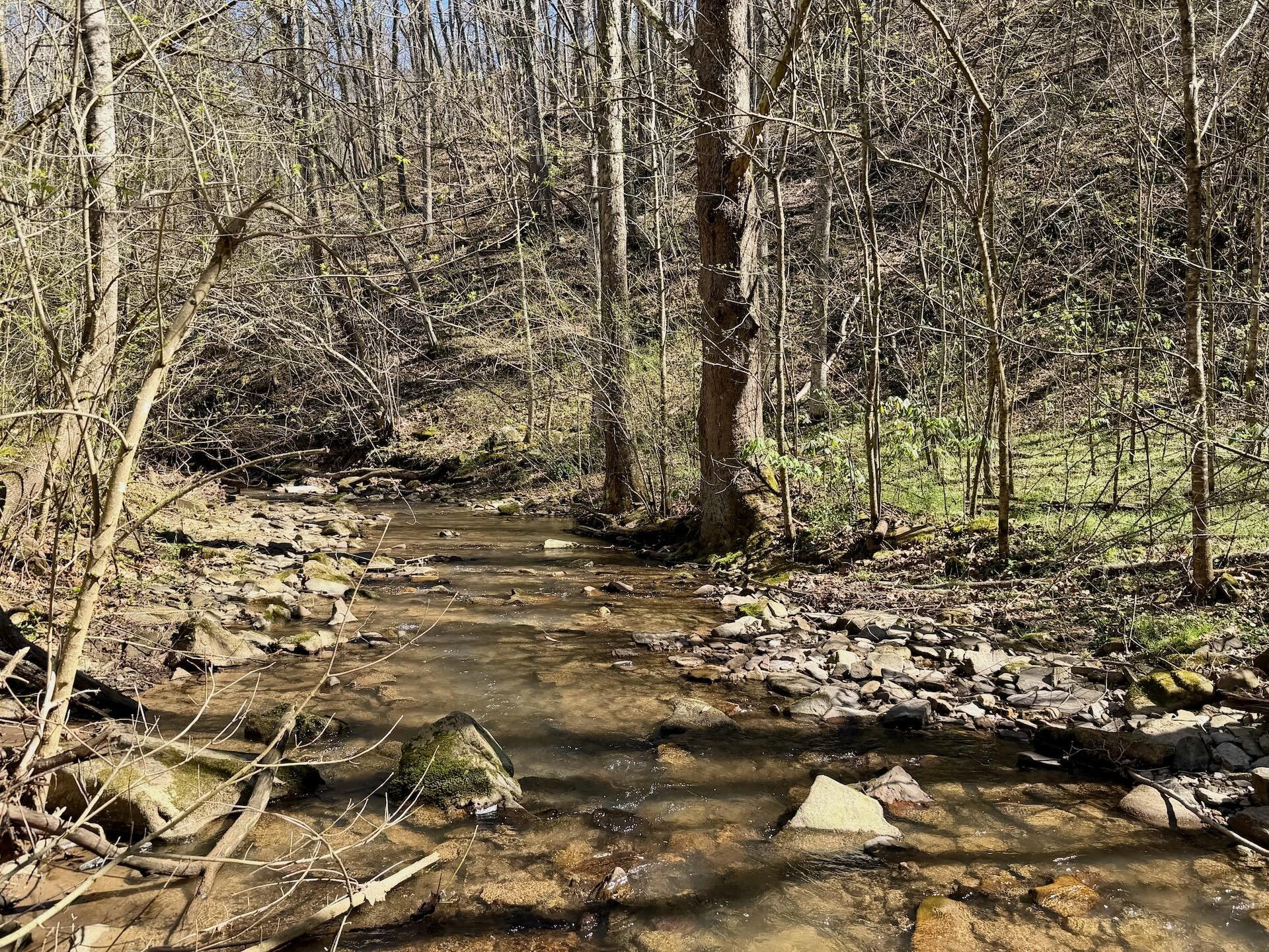 1297 Dry Creek RD - Photo 10