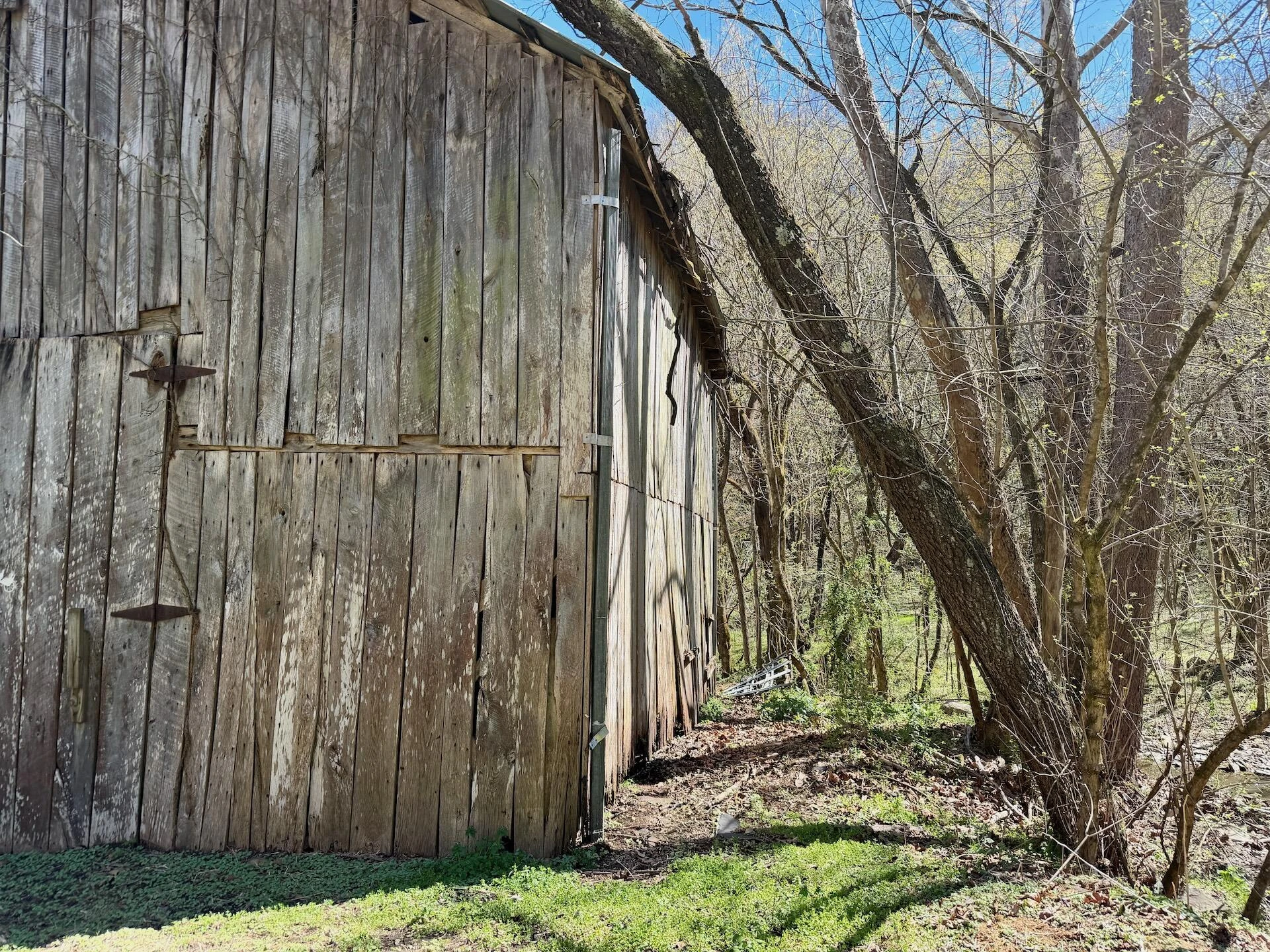 1297 Dry Creek RD - Photo 17