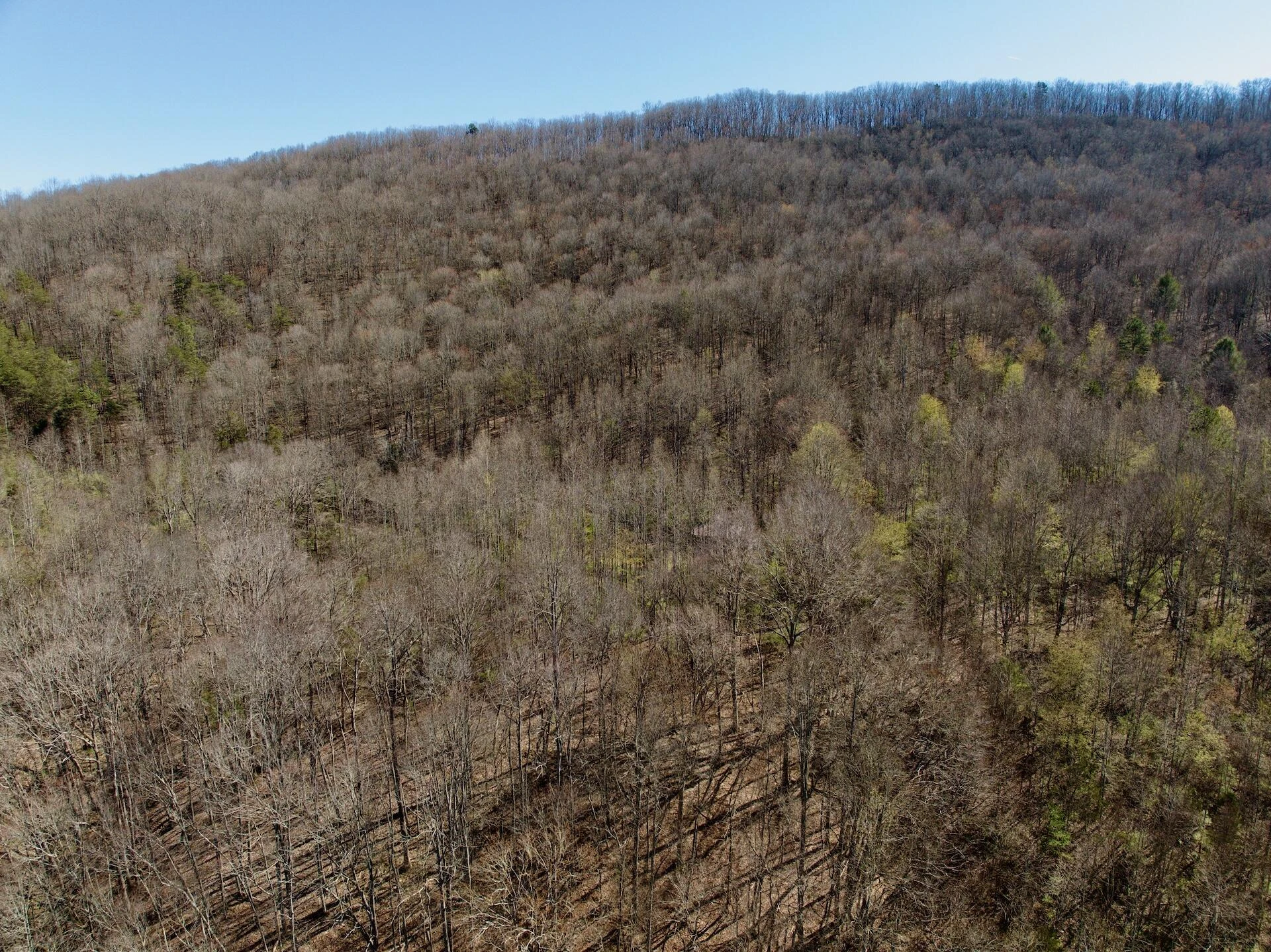 1297 Dry Creek RD - Photo 18