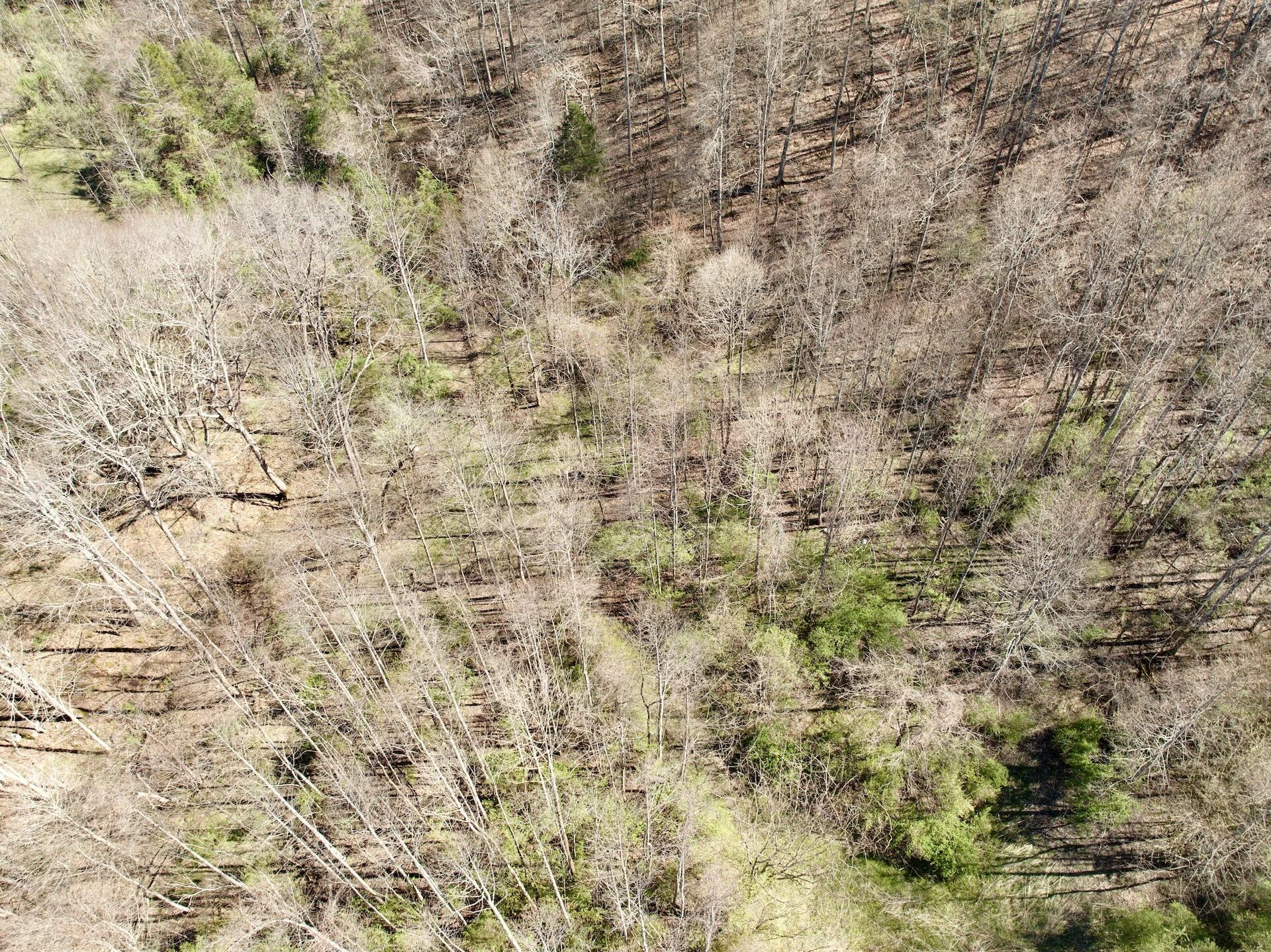 1297 Dry Creek RD - Photo 19