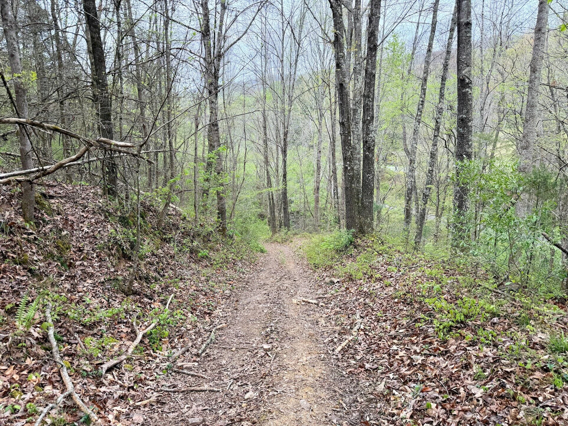 1297 Dry Creek RD - Photo 22