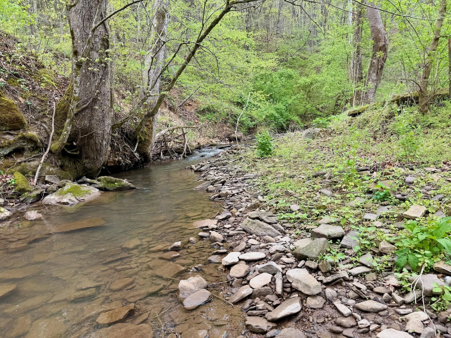 1297 Dry Creek RD - Photo 23