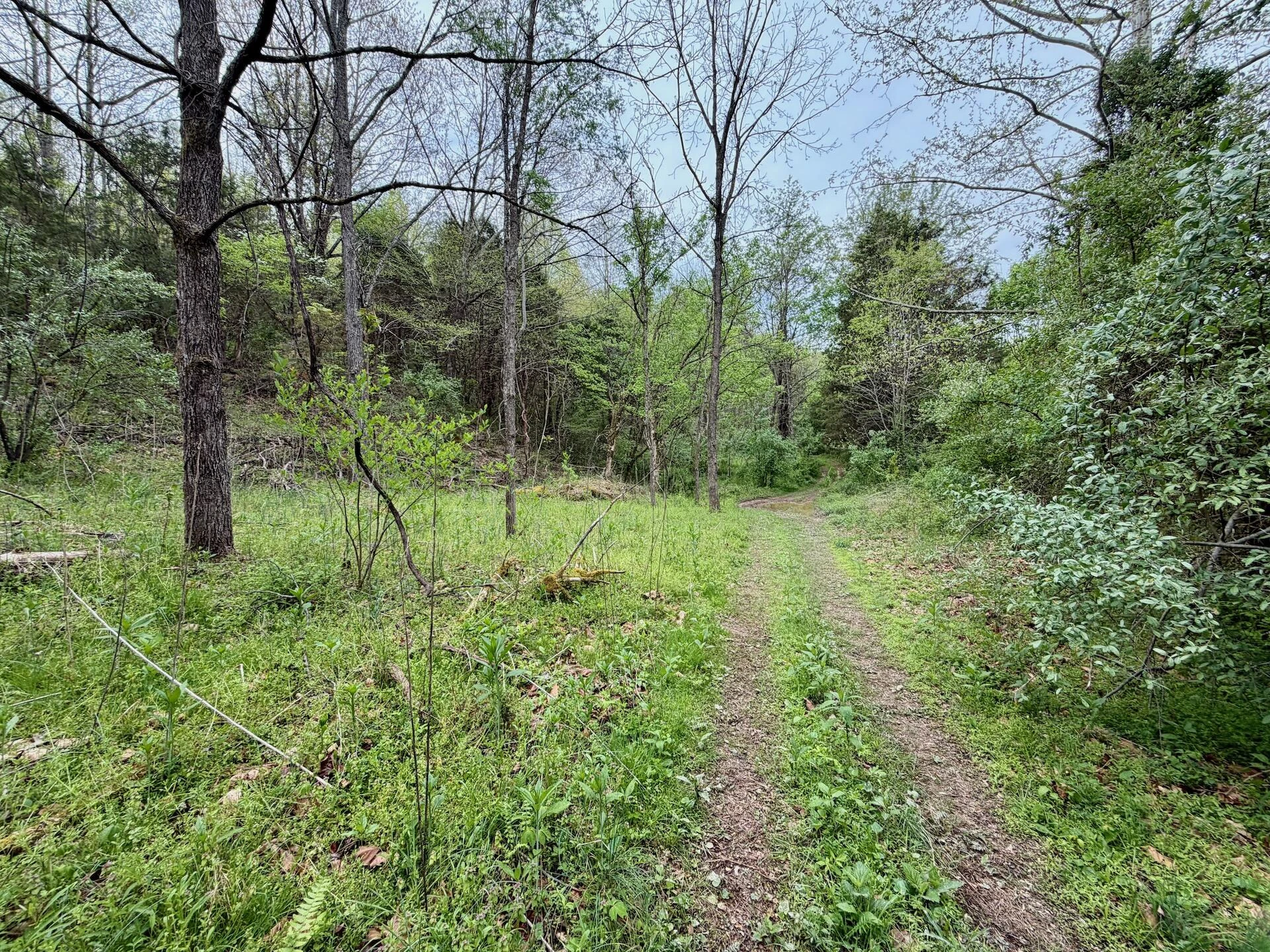 1297 Dry Creek RD - Photo 24