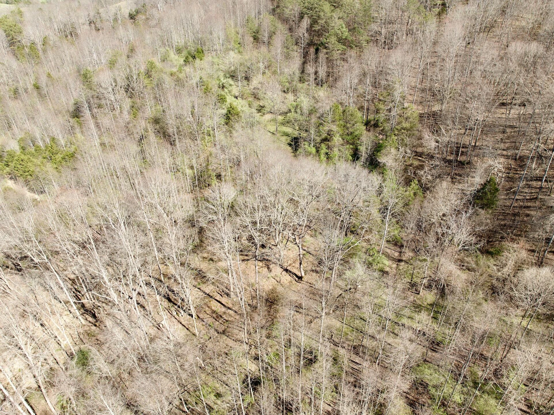 1297 Dry Creek RD - Photo 32