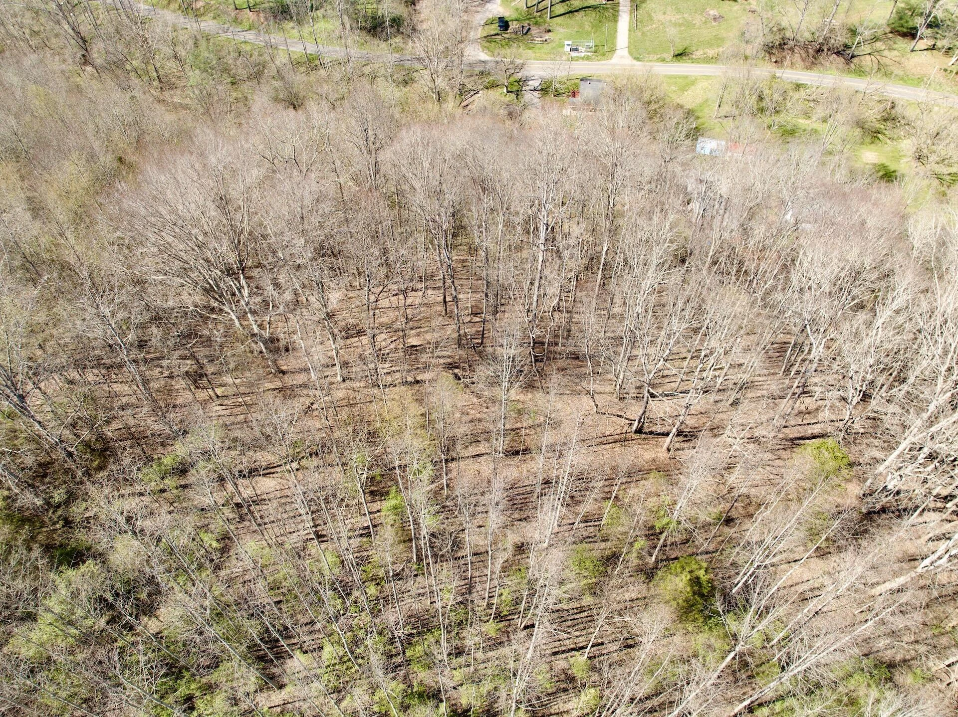 1297 Dry Creek RD - Photo 33