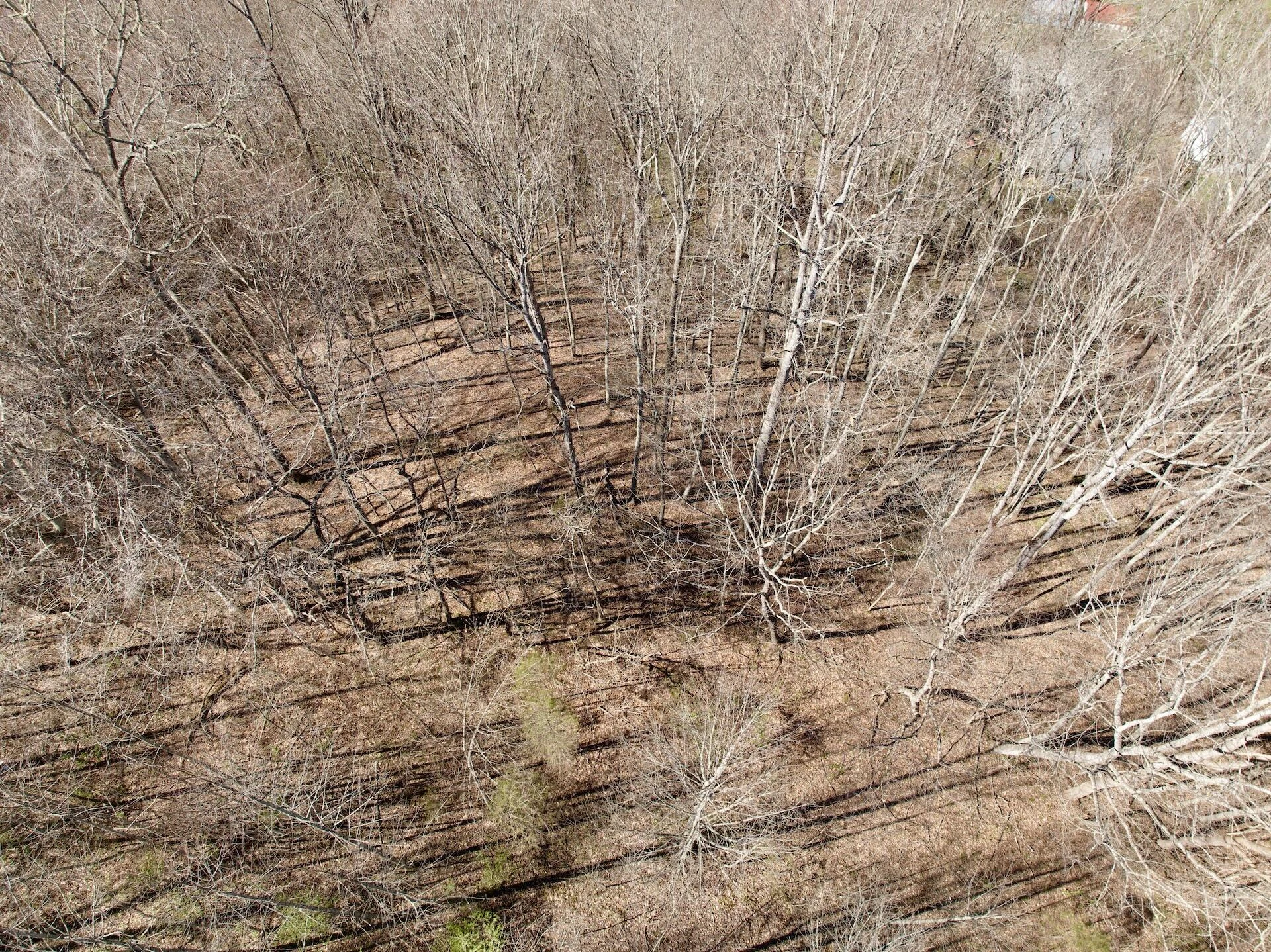 1297 Dry Creek RD - Photo 34