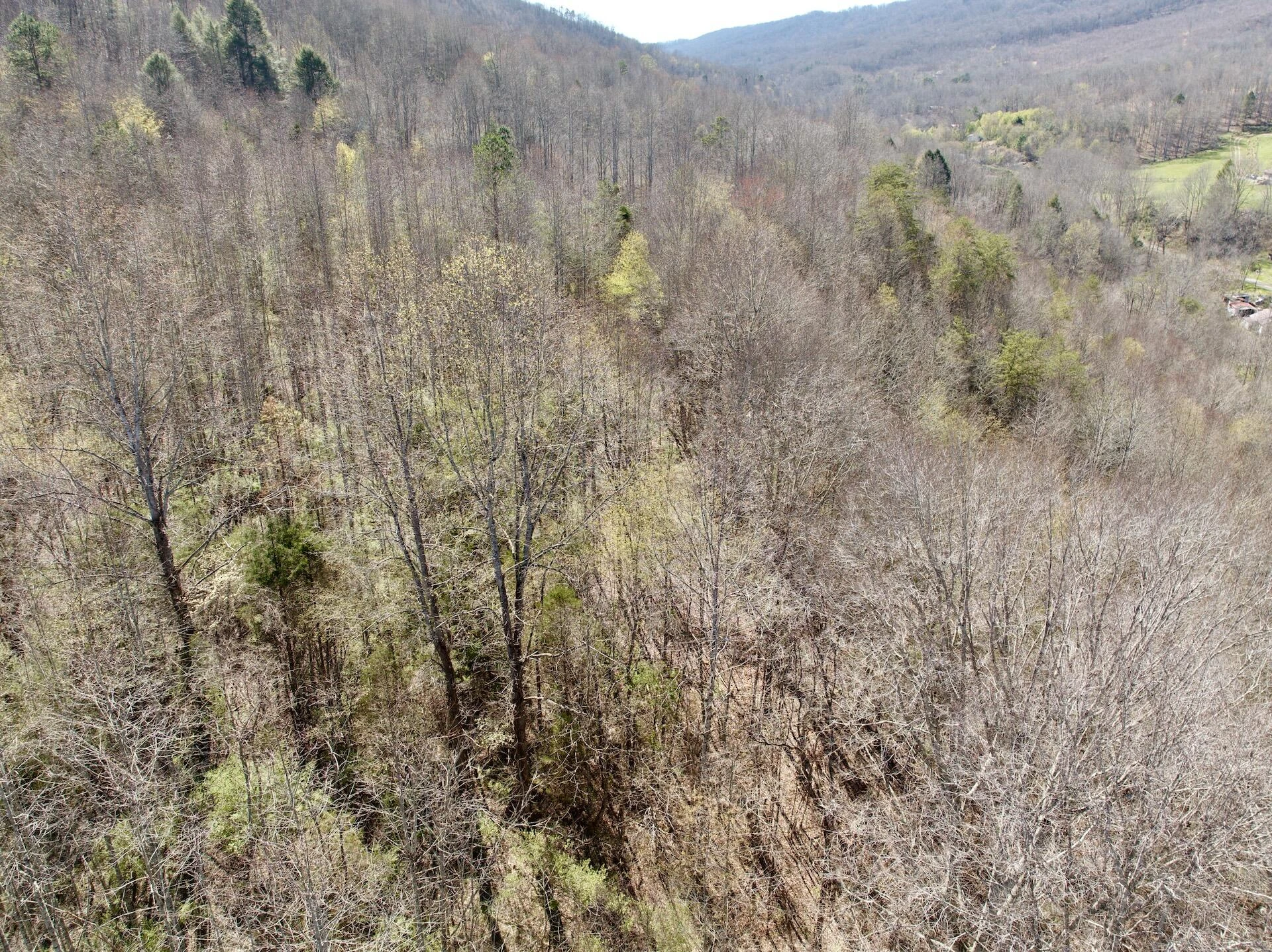 1297 Dry Creek RD - Photo 35