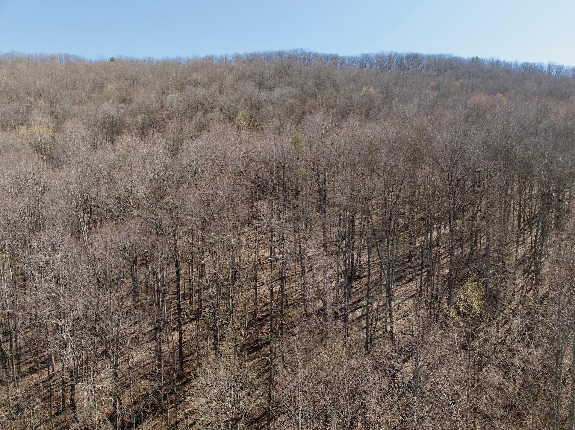 1297 Dry Creek RD - Photo 36