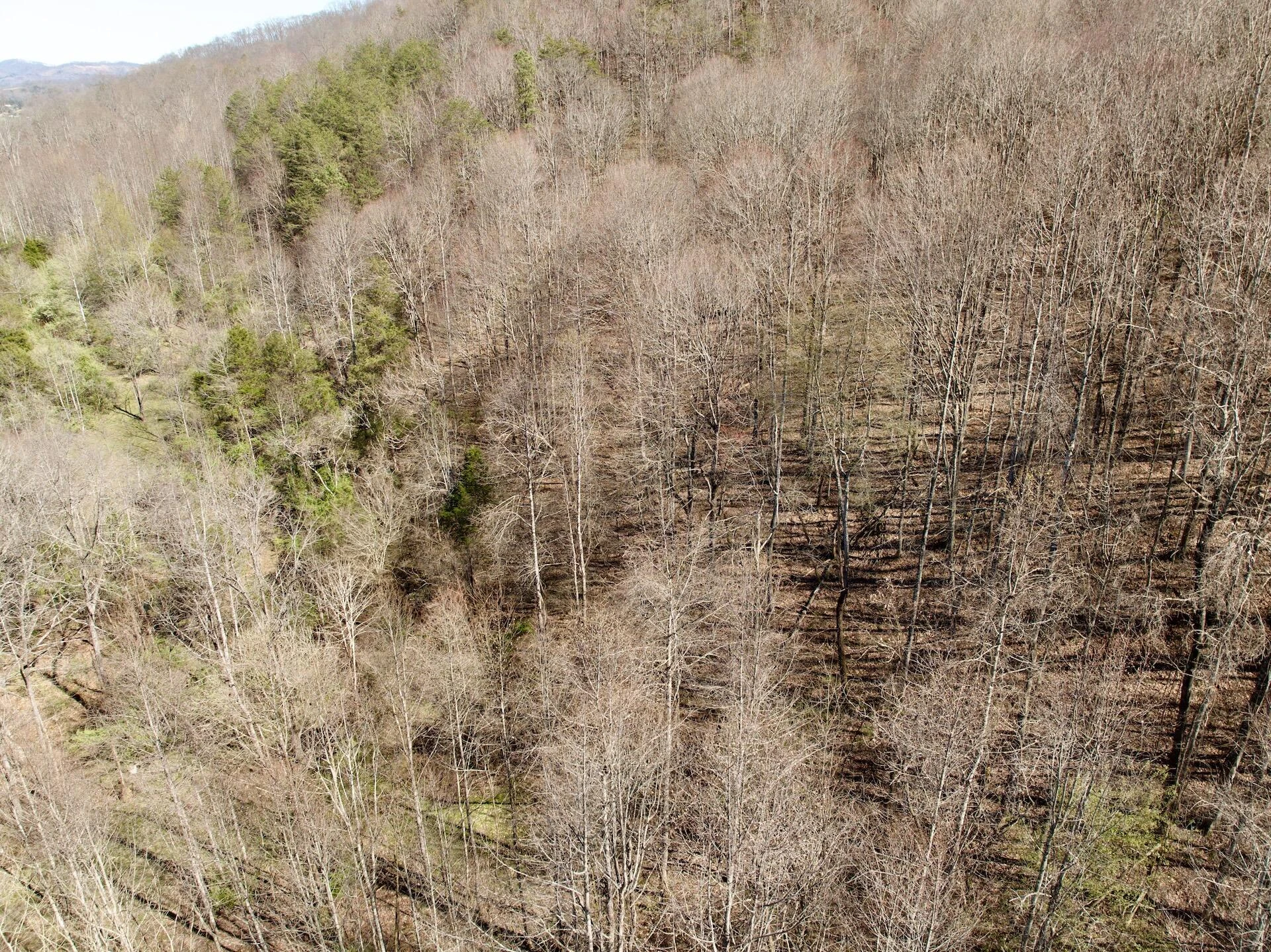 1297 Dry Creek RD - Photo 37
