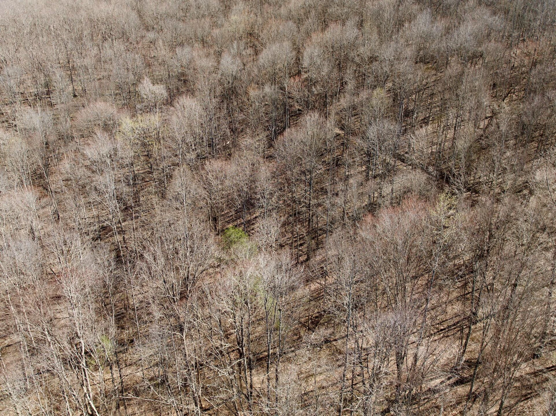 1297 Dry Creek RD - Photo 38