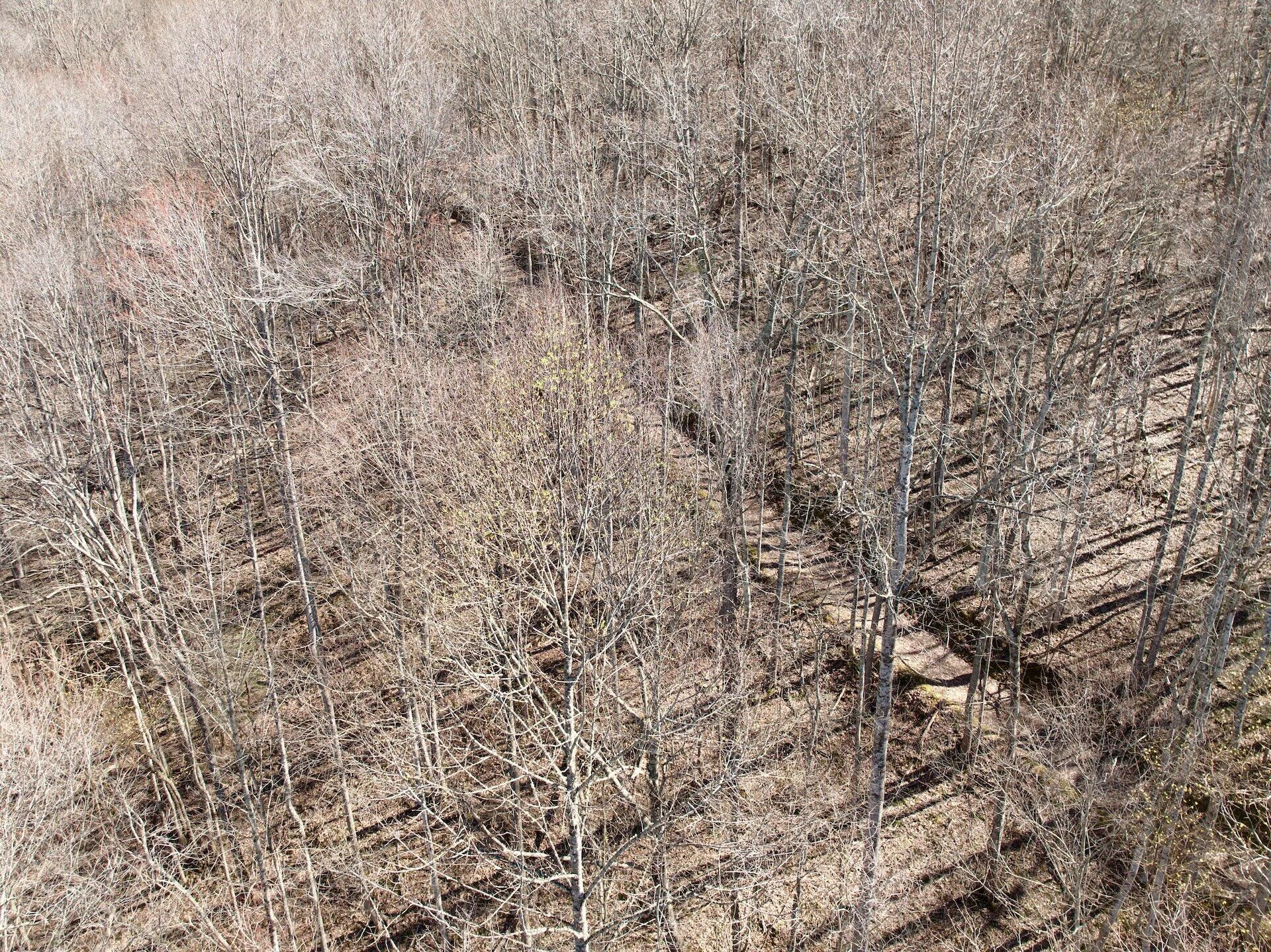 1297 Dry Creek RD - Photo 39
