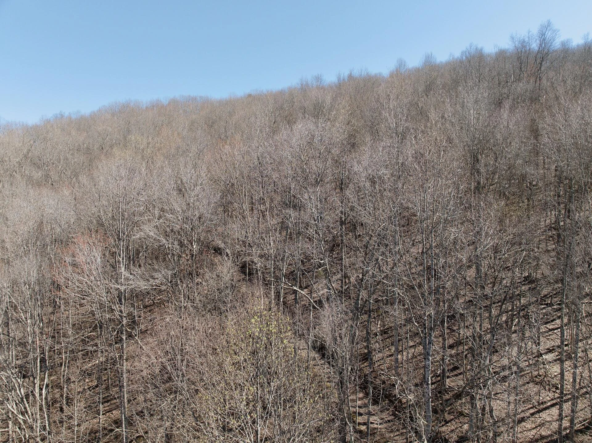 1297 Dry Creek RD - Photo 40