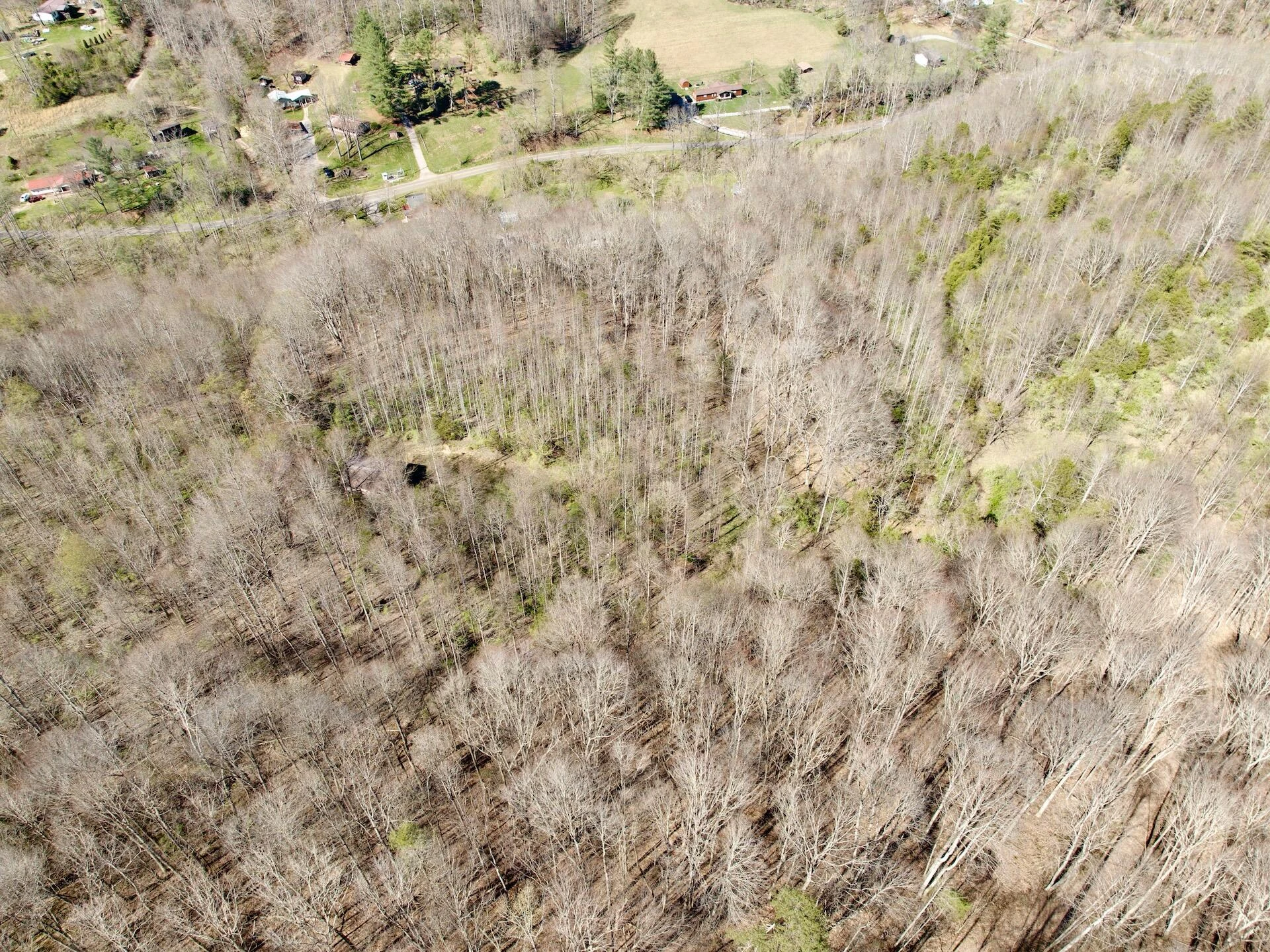 1297 Dry Creek RD - Photo 42