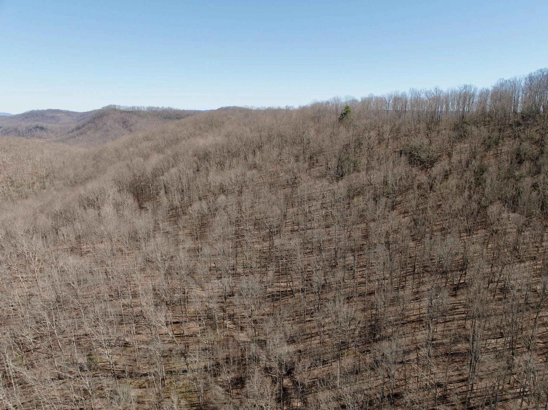 1297 Dry Creek RD - Photo 45
