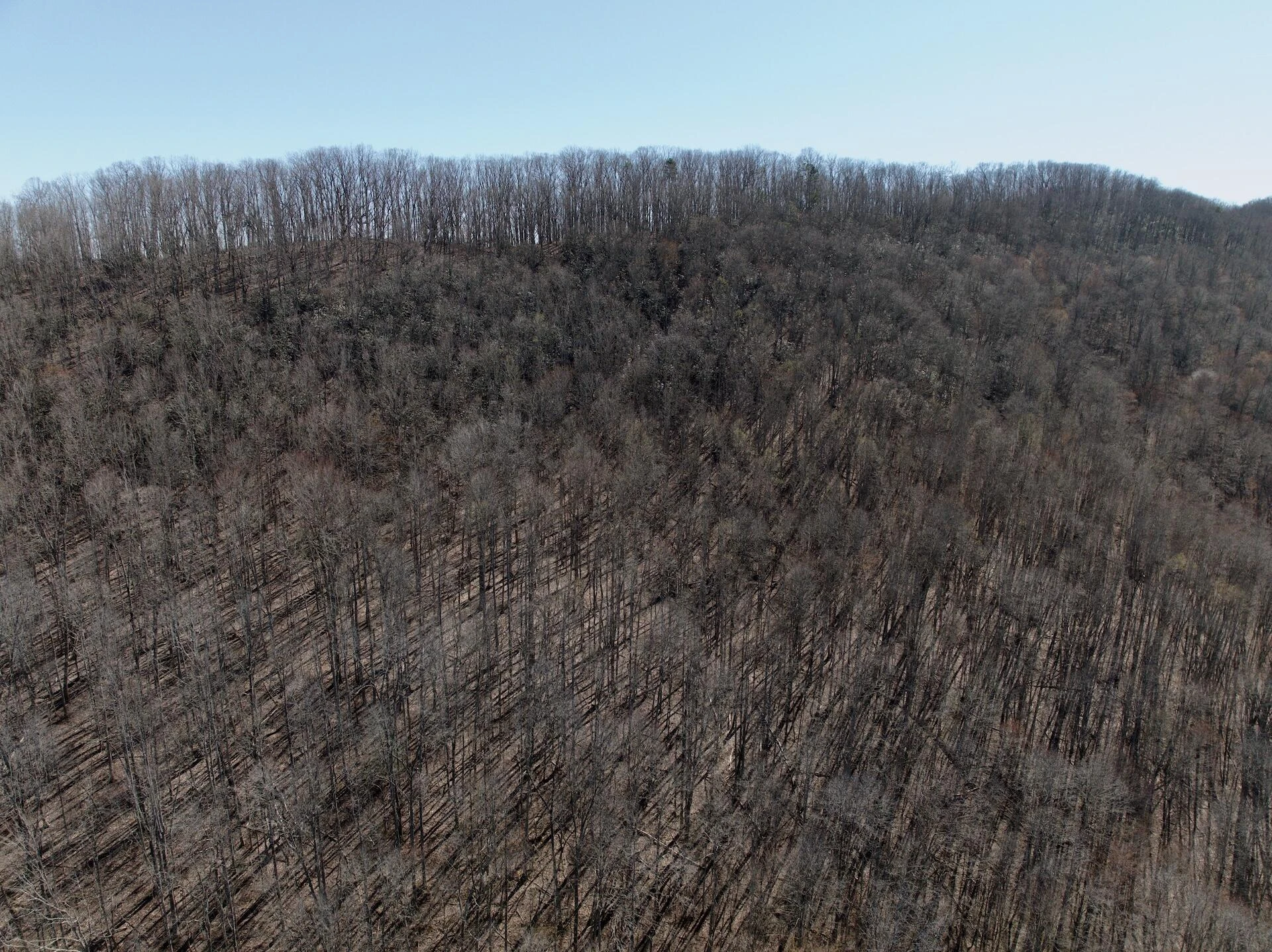 1297 Dry Creek RD - Photo 46