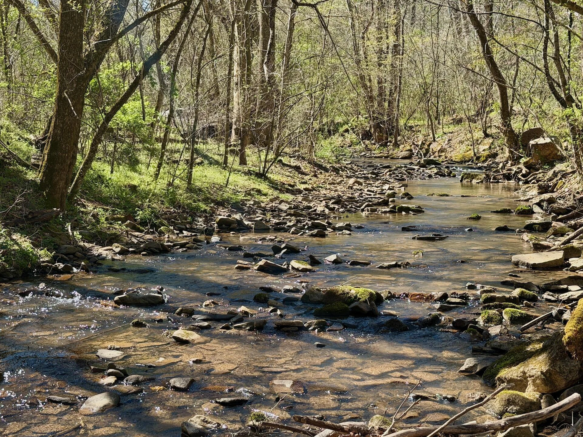 1297 Dry Creek RD - Photo 5