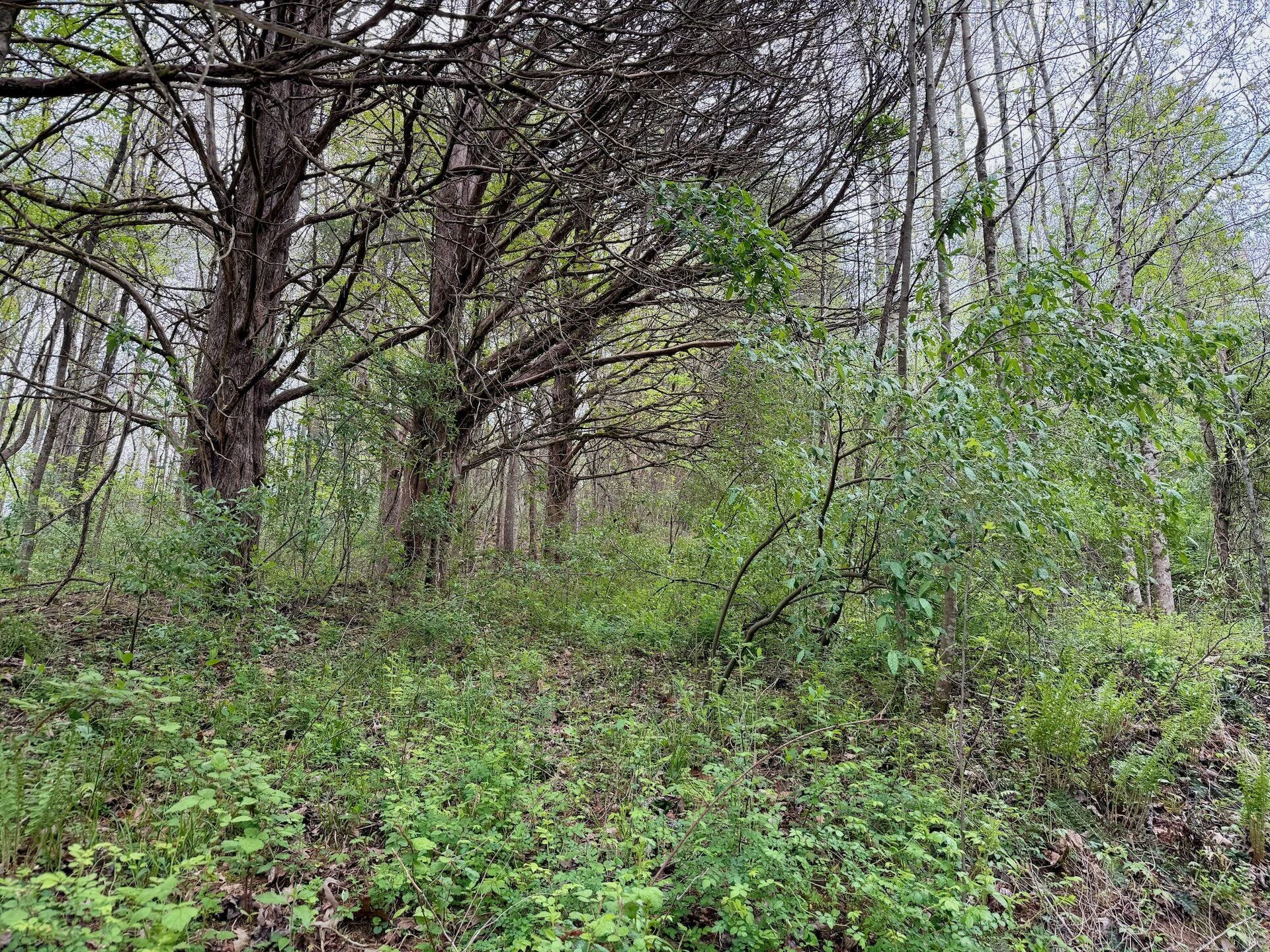 1297 Dry Creek RD - Photo 56