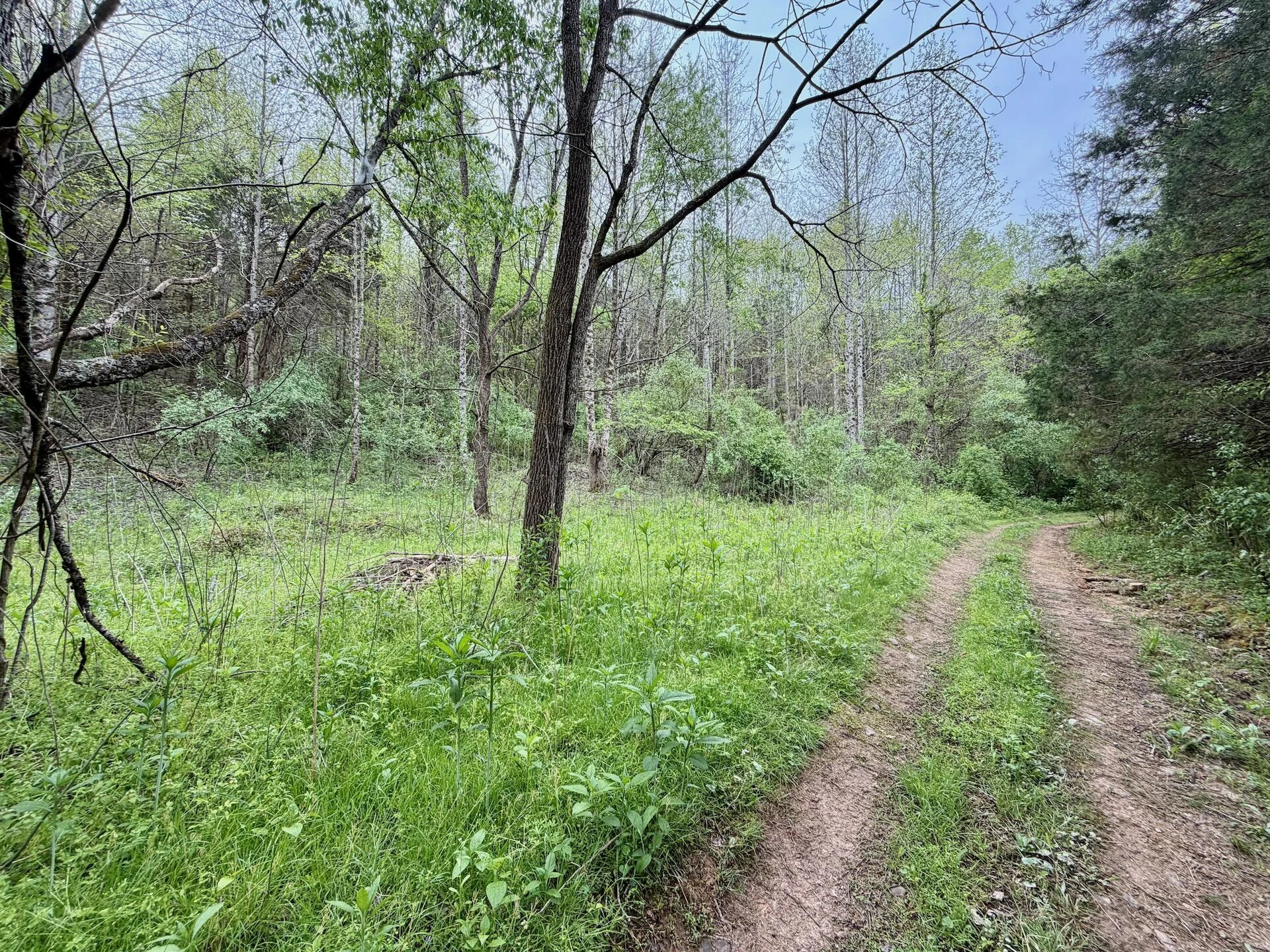1297 Dry Creek RD - Photo 57