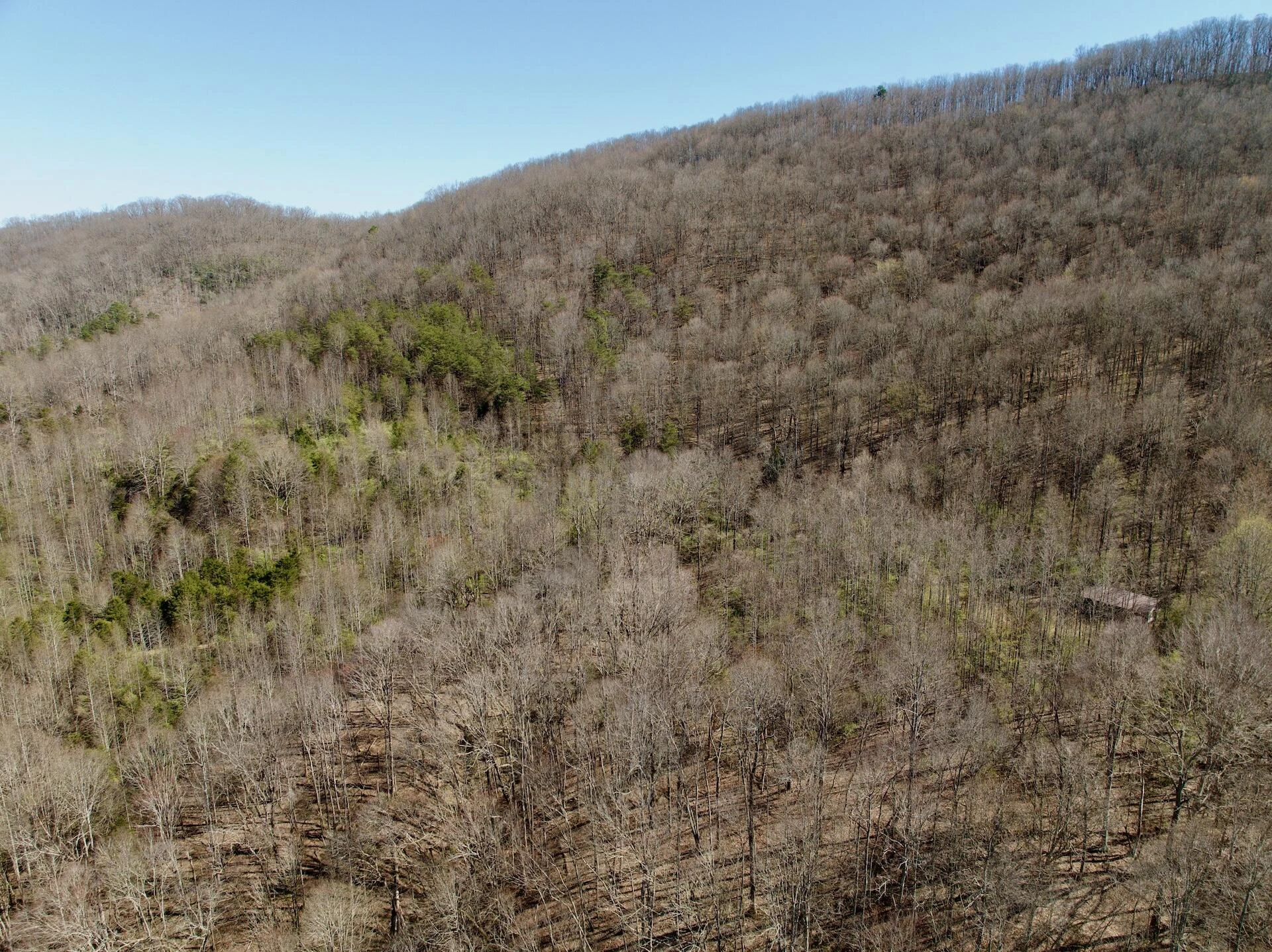 1297 Dry Creek RD - Photo 6