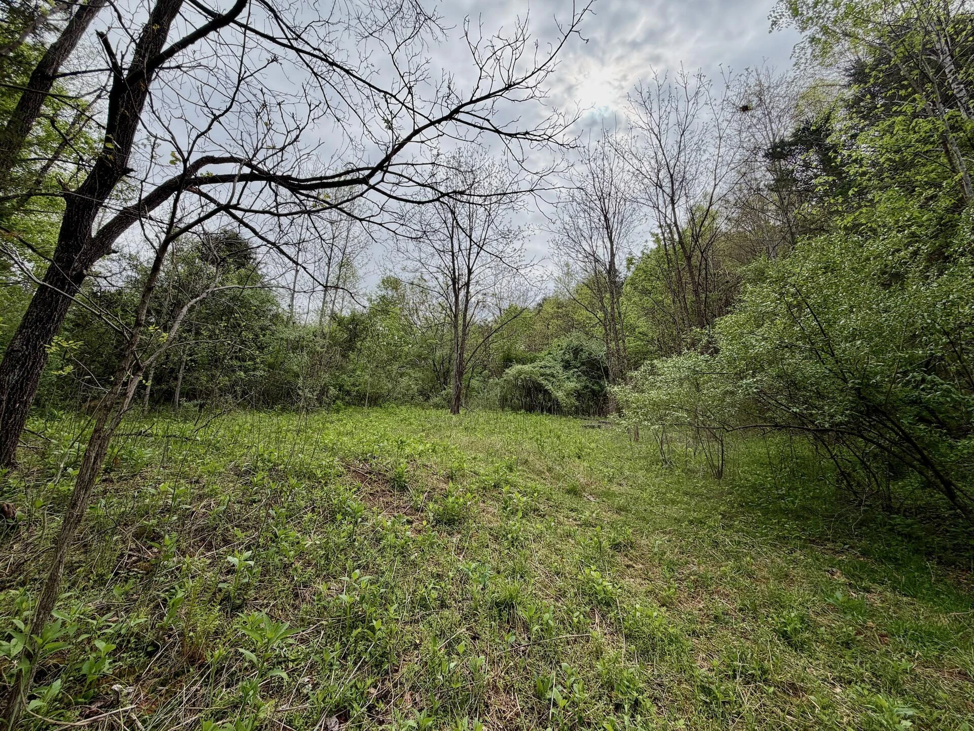 1297 Dry Creek RD - Photo 62