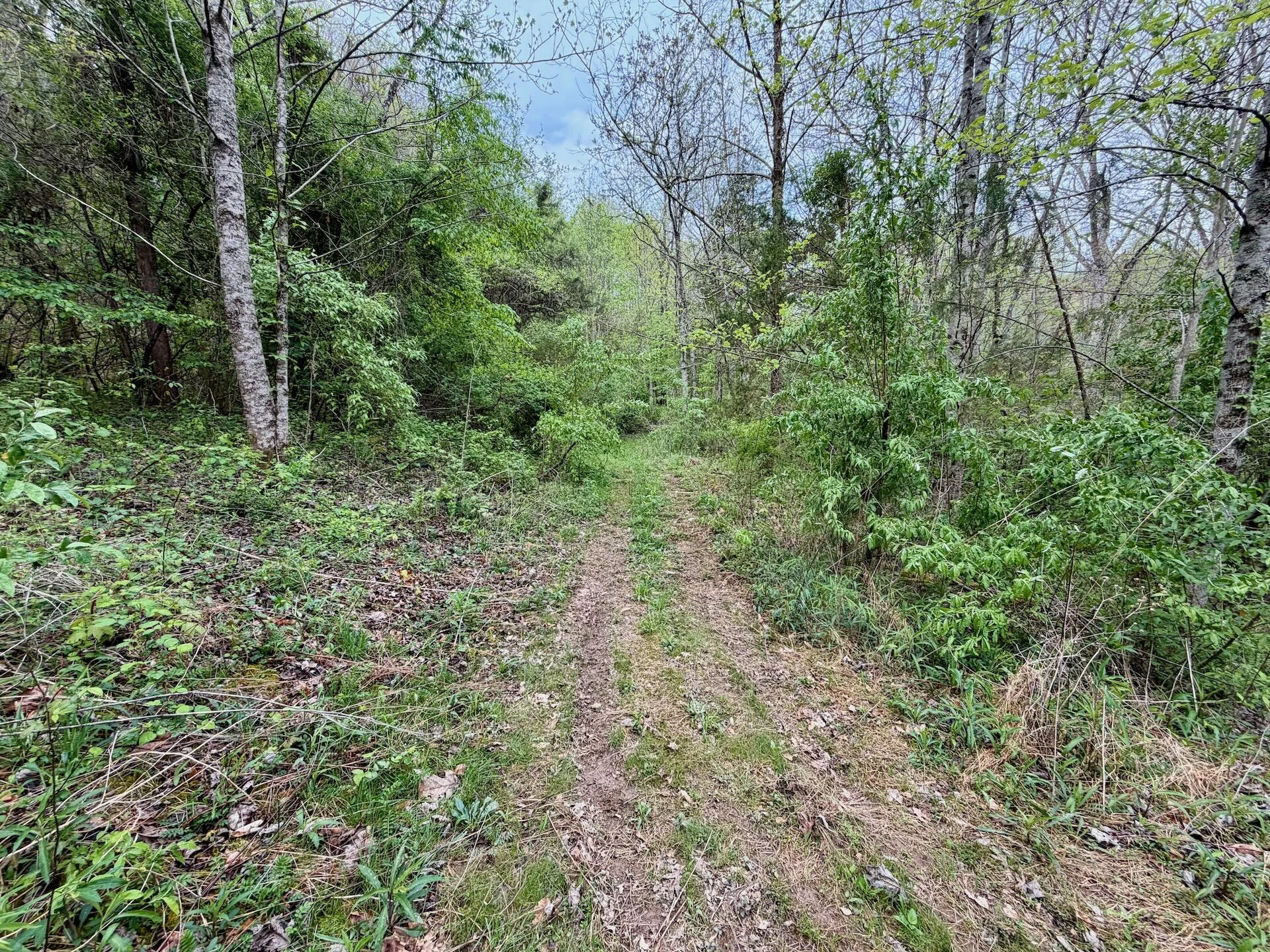 1297 Dry Creek RD - Photo 63