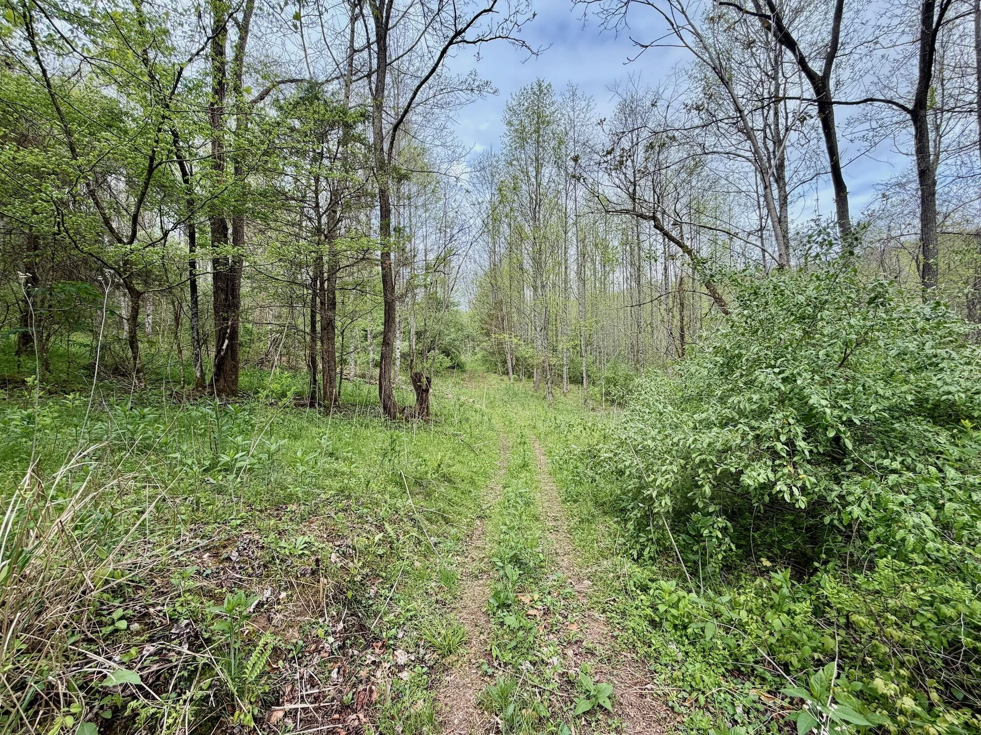 1297 Dry Creek RD - Photo 64