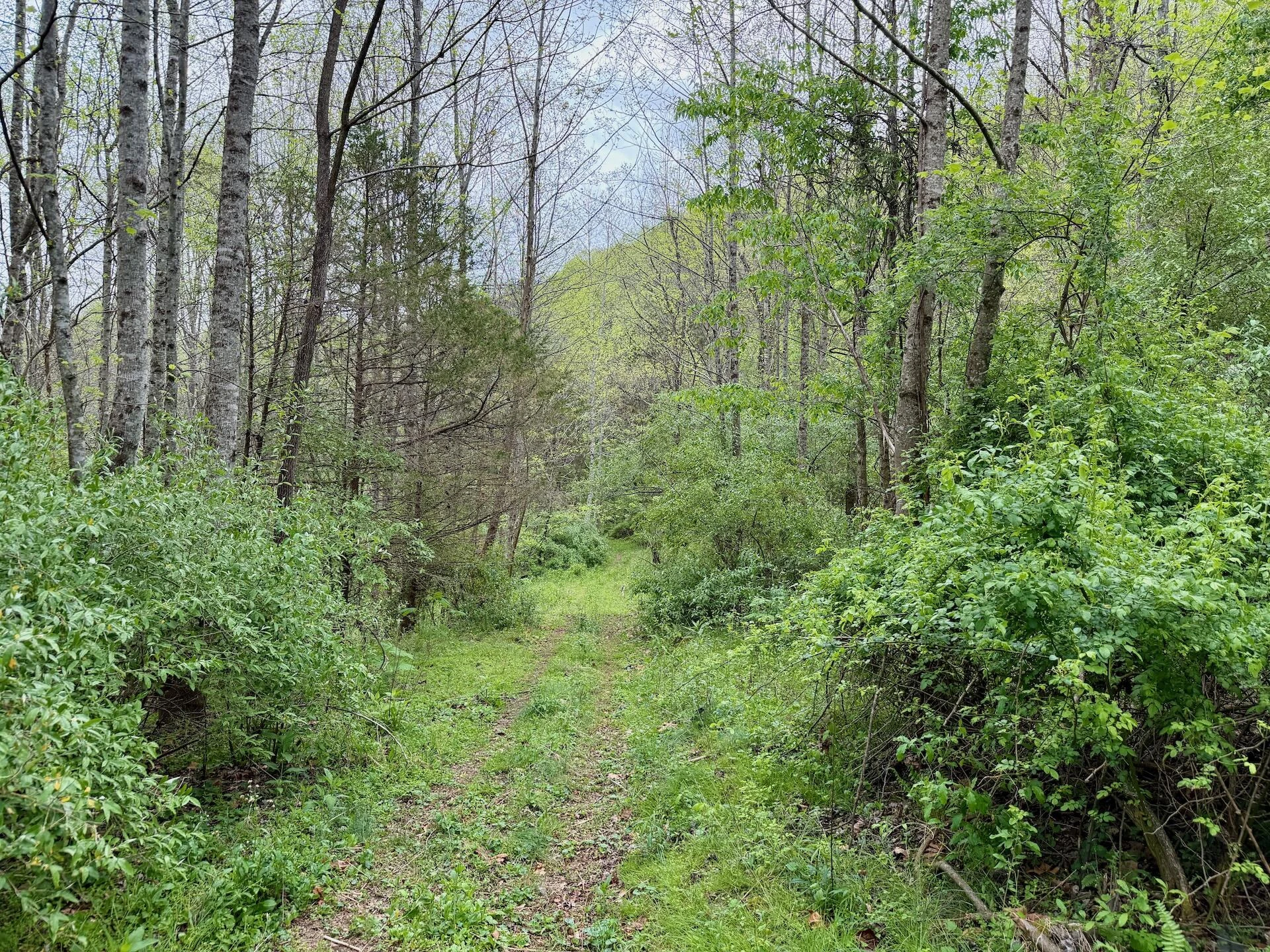 1297 Dry Creek RD - Photo 69