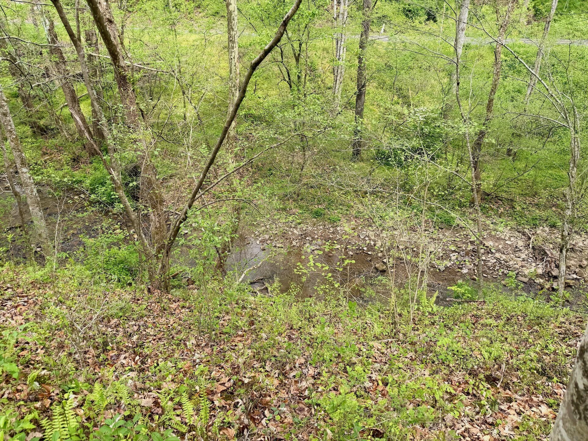 1297 Dry Creek RD - Photo 70