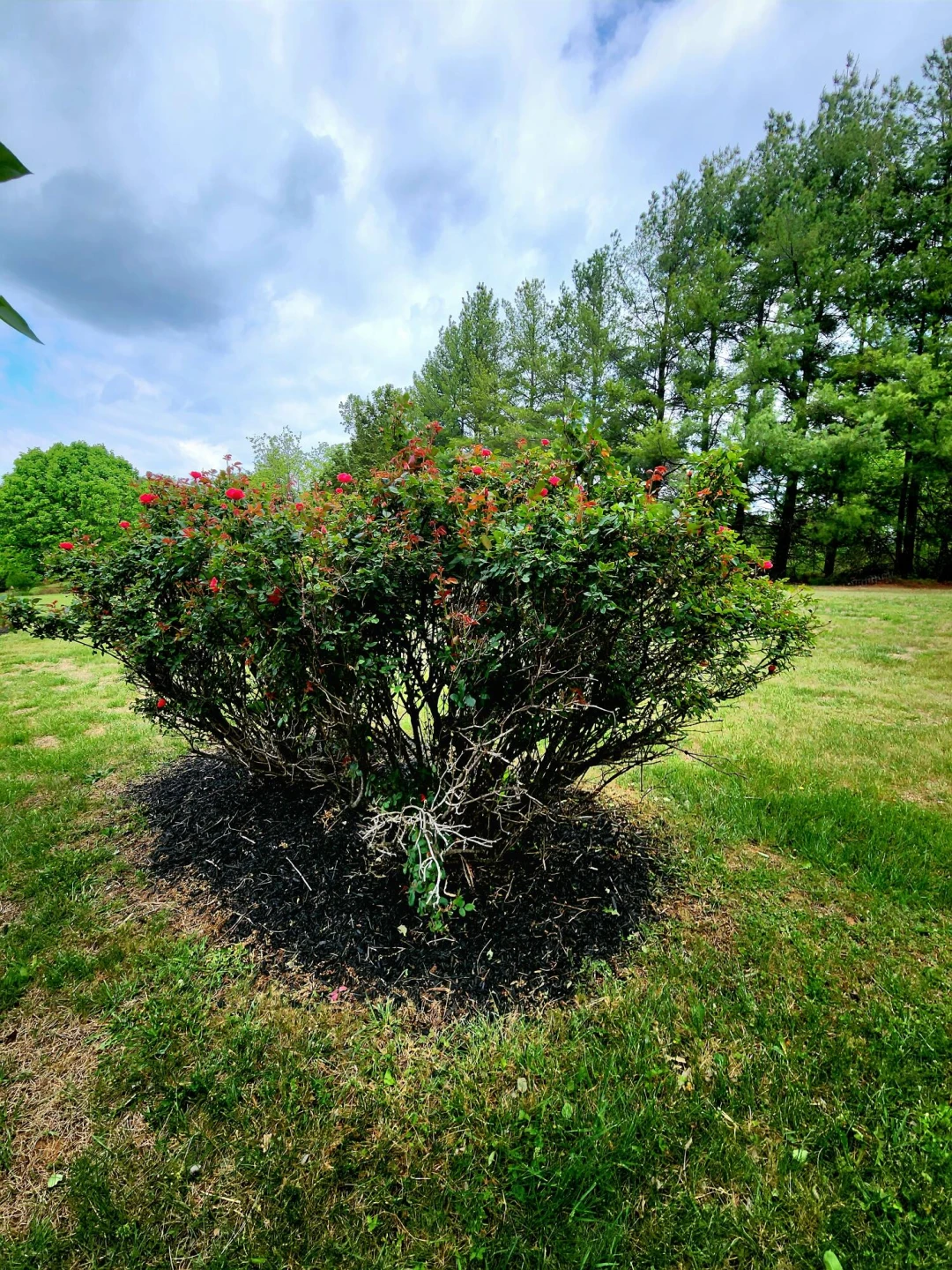 3829 Old Franklin Turnpike - Photo 16