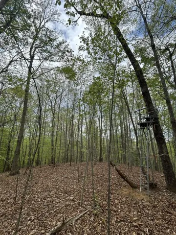 0 Mockingbird LN, Bassett, VA, 24055